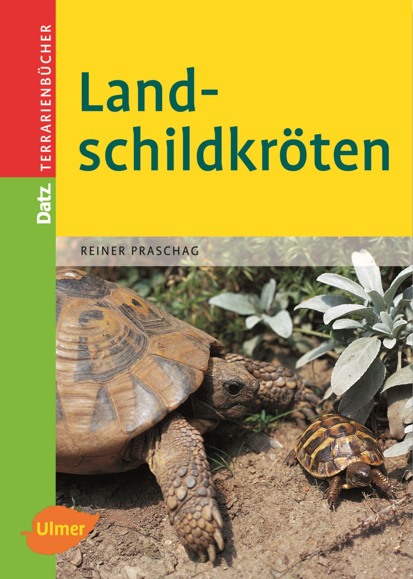 Vorderes Coverbild Landschildkröten