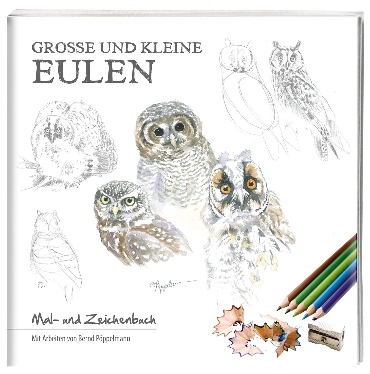 Vorderes Coverbild Große und kleine Eulen