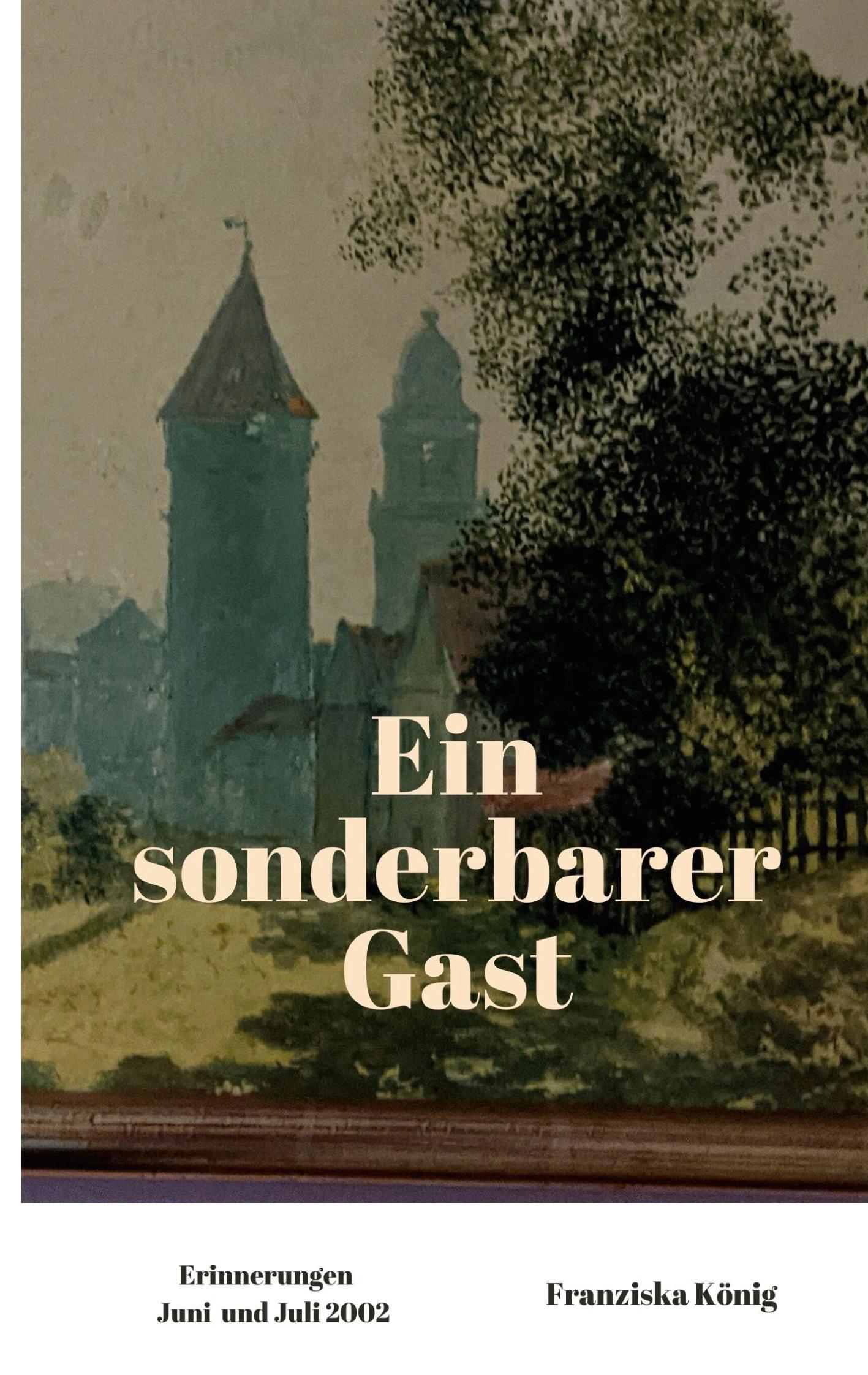 Vorderes Coverbild Ein sonderbarer Gast