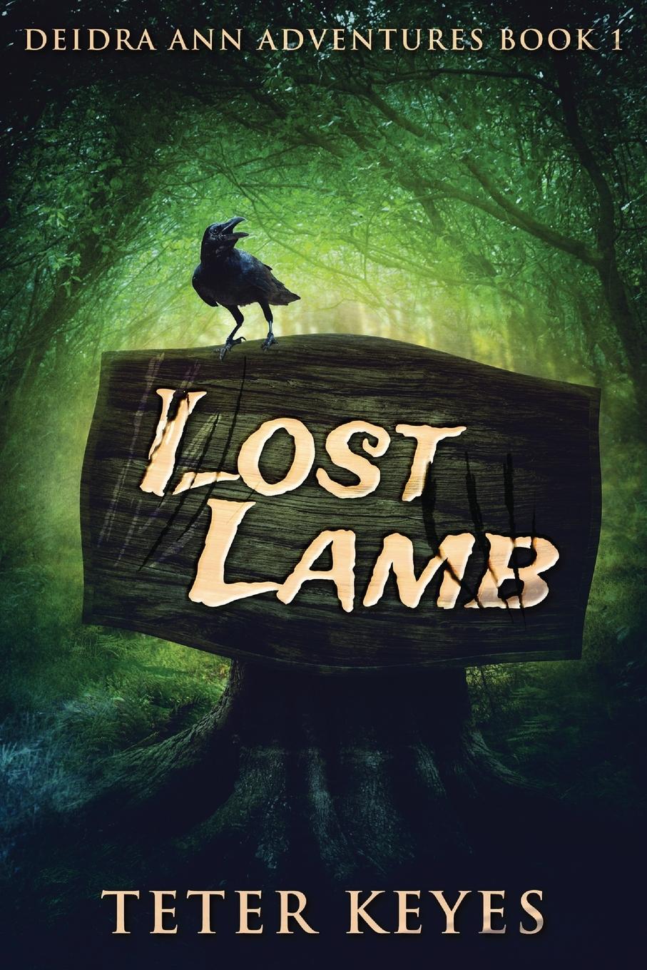 Vorderes Coverbild Lost Lamb