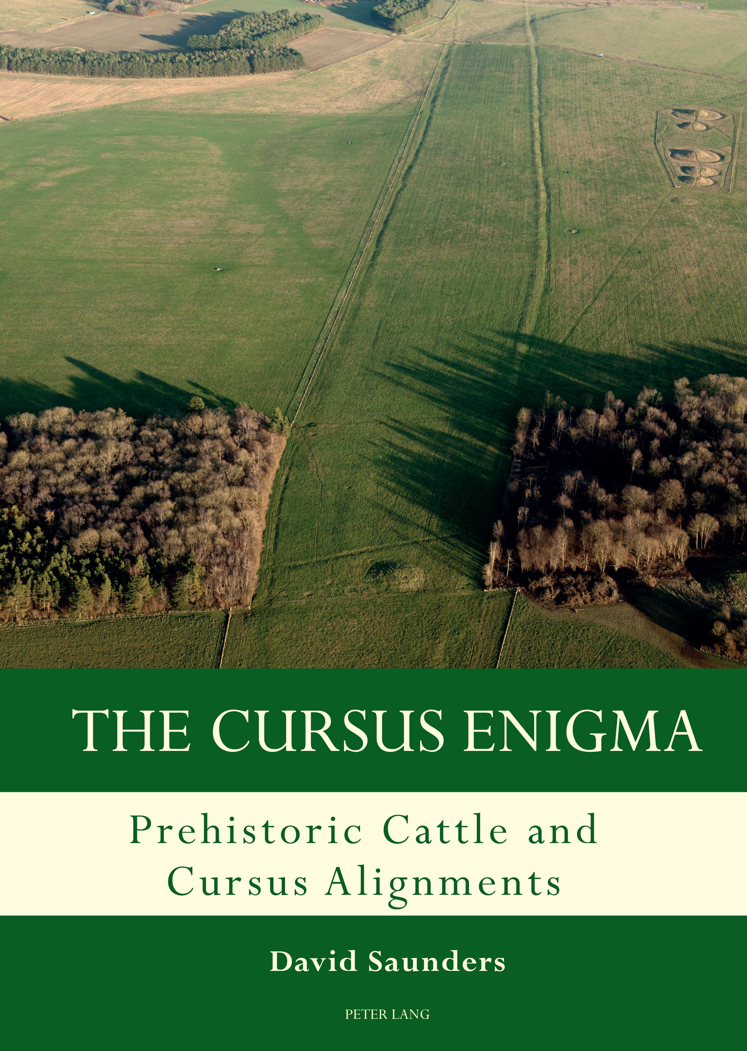 Vorderes Coverbild The Cursus Enigma