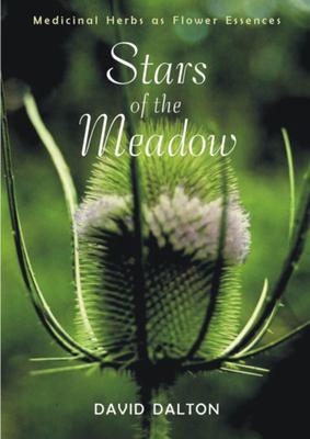 Vorderes Coverbild Stars of the Meadow
