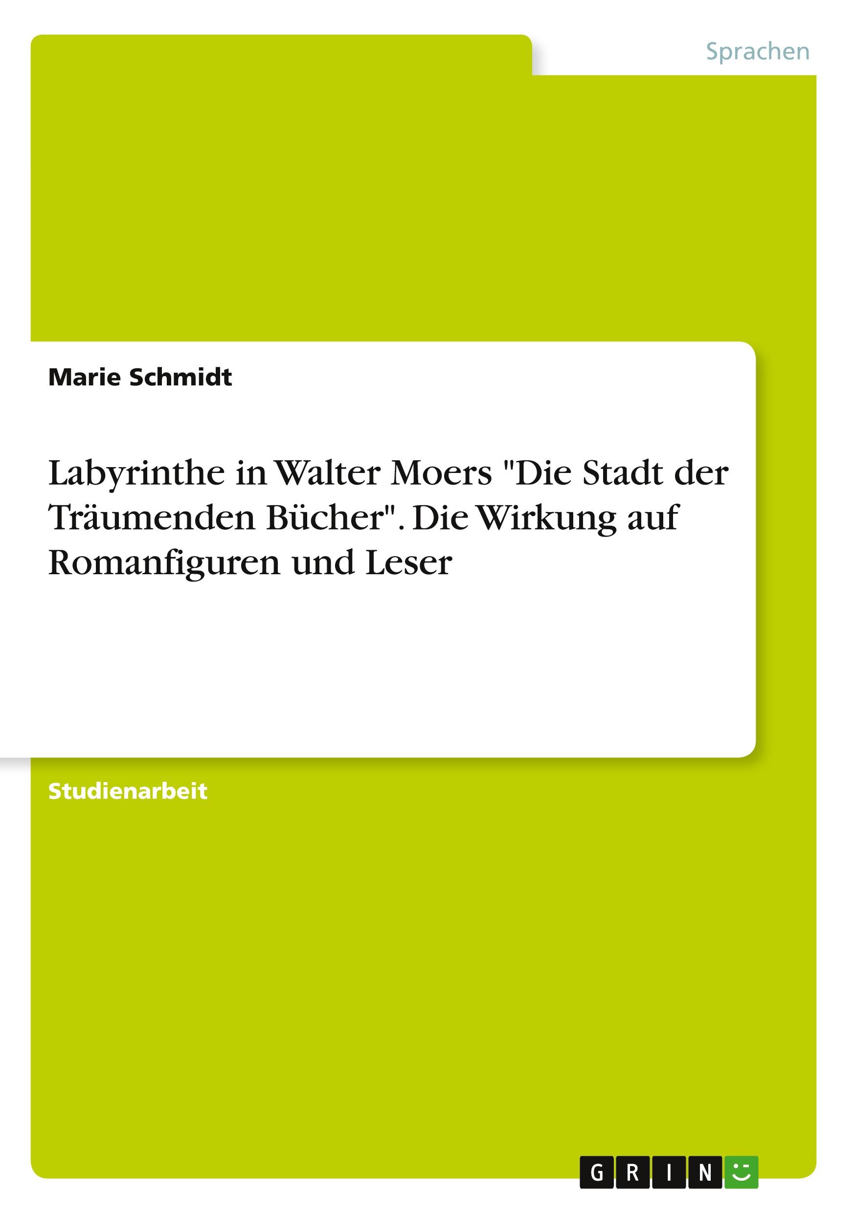 Vorderes Coverbild Labyrinthe in Walter Moers "Die Stadt der Träumenden Bücher". Die Wirkung auf Romanfiguren und Leser
