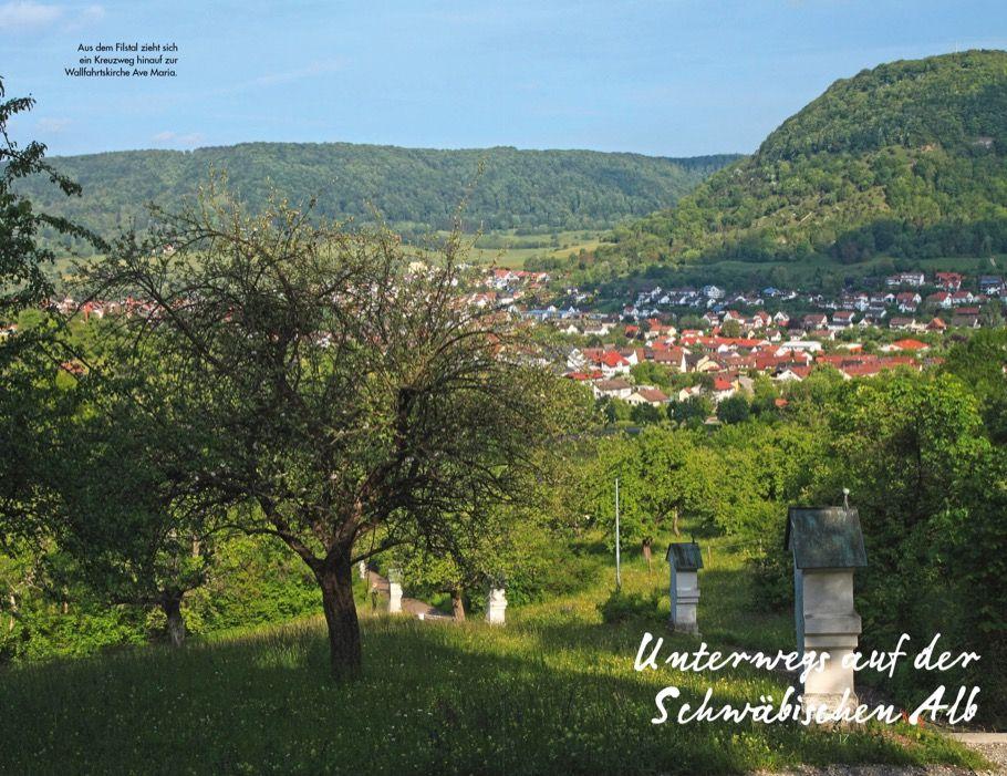 Beispielinhalt (Bild) Leichte Wanderungen Schwäbische Alb
