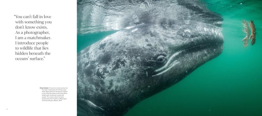 Beispielinhalt (Bild) Wild Seas