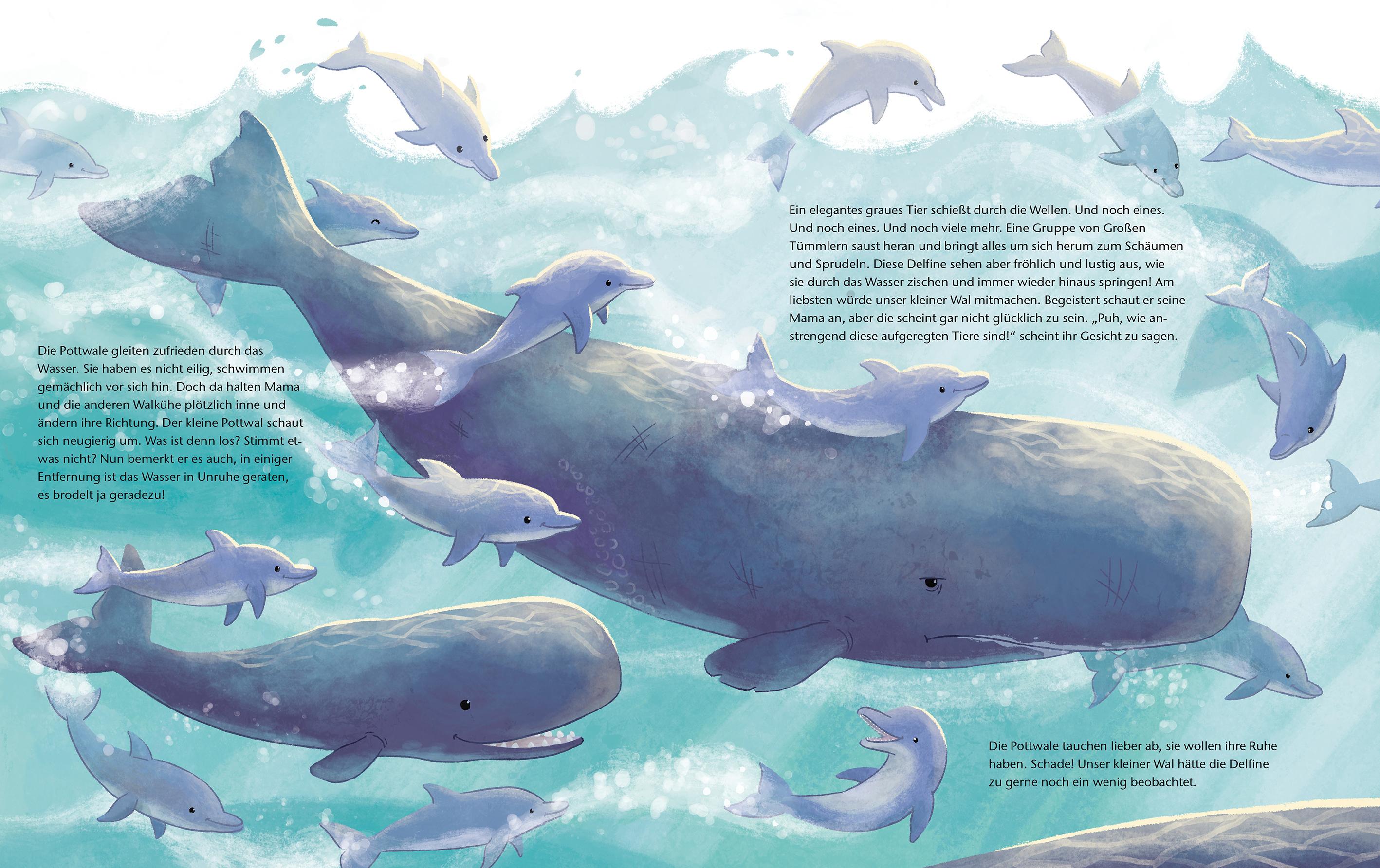 Beispielinhalt (Bild) Der kleine Wal - Zu Hause im Ozean