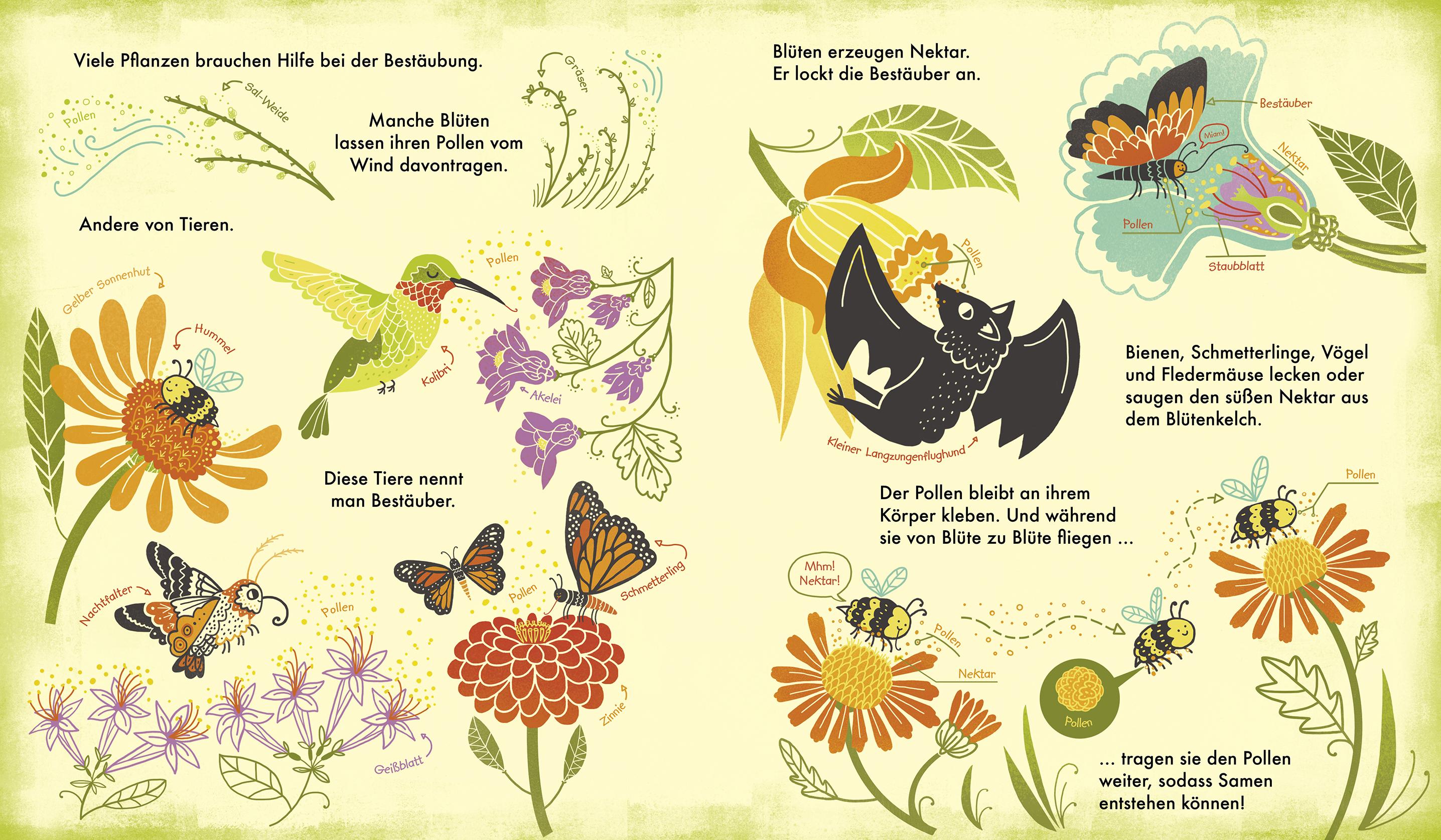 Beispielinhalt (Bild) Das Wunder einer Blume - Warum Blumen und Pflanzen so wichtig sind