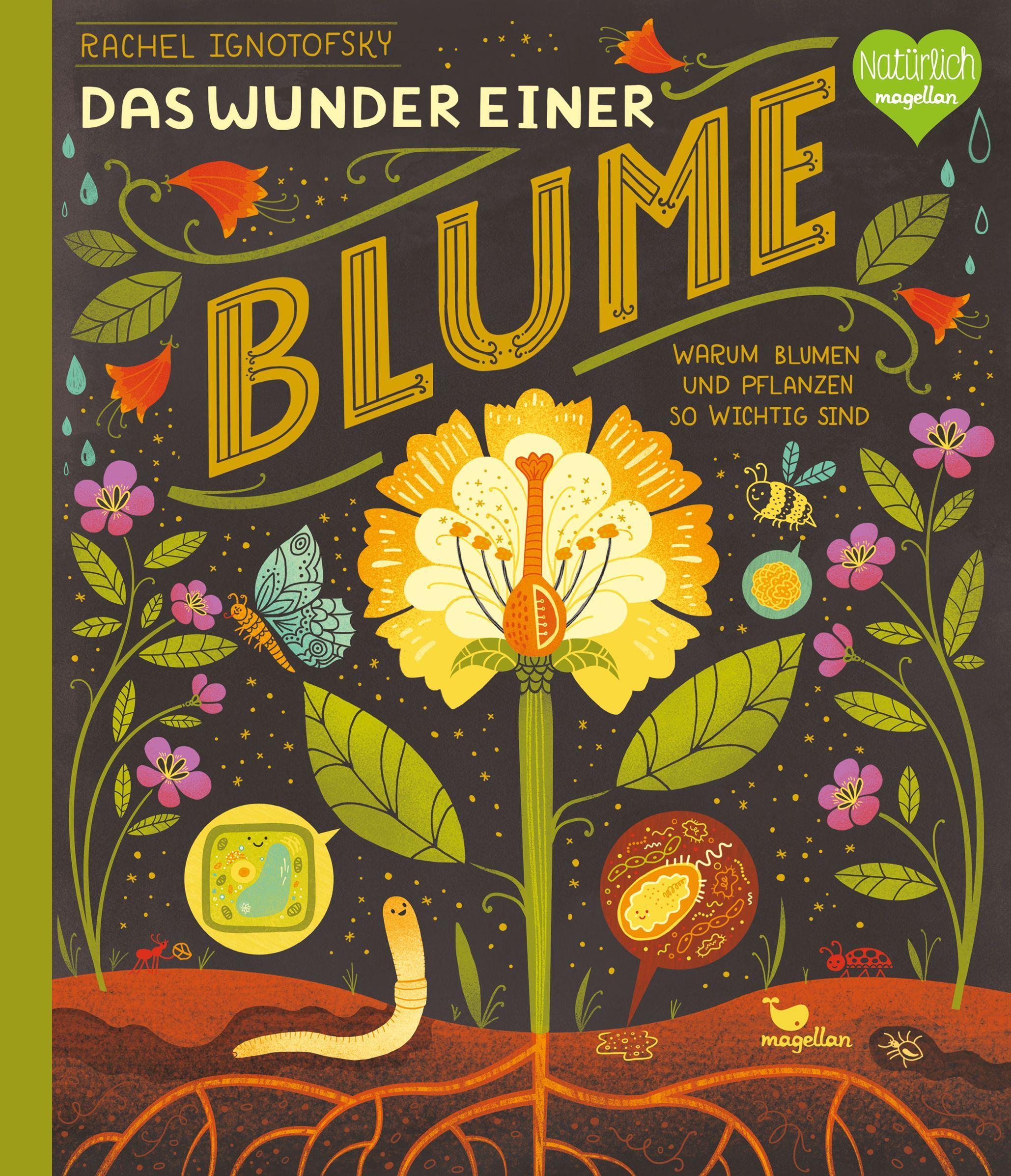 Vorderes Coverbild Das Wunder einer Blume - Warum Blumen und Pflanzen so wichtig sind