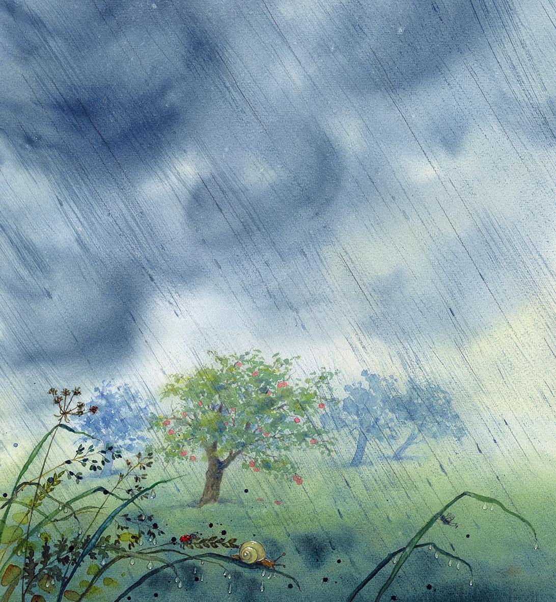 Beispielinhalt (Bild) Bertie Pom und das große Donnerwetter