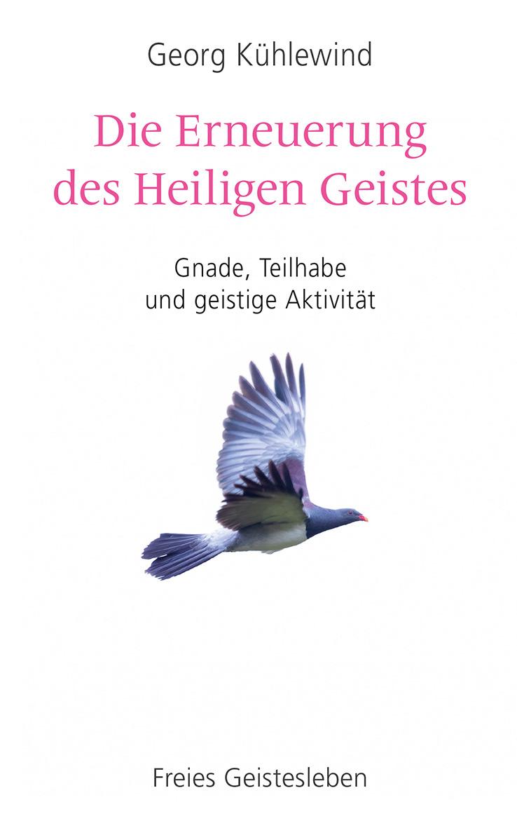 Vorderes Coverbild Die Erneuerung des Heiligen Geistes