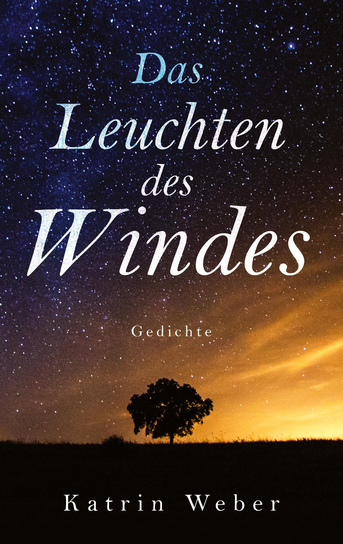 Vorderes Coverbild Das Leuchten des Windes