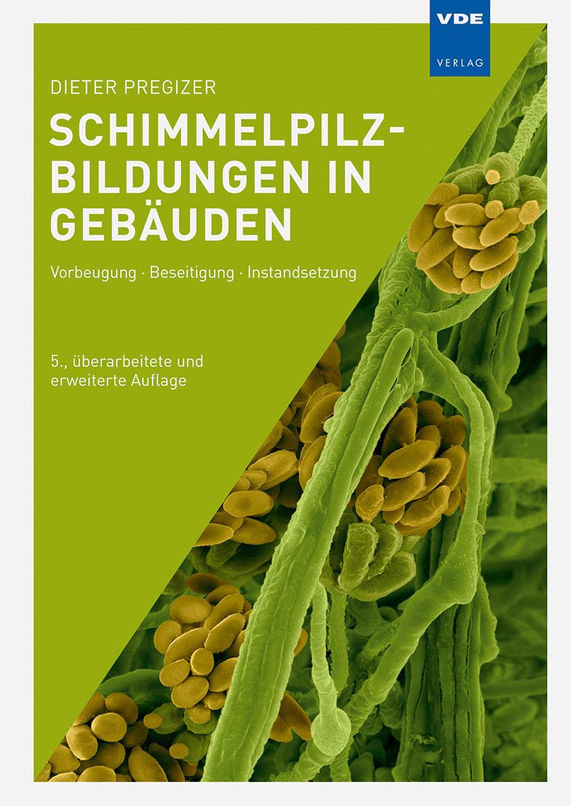 Beispielinhalt (Bild) Schimmelpilzbildungen in Gebäuden