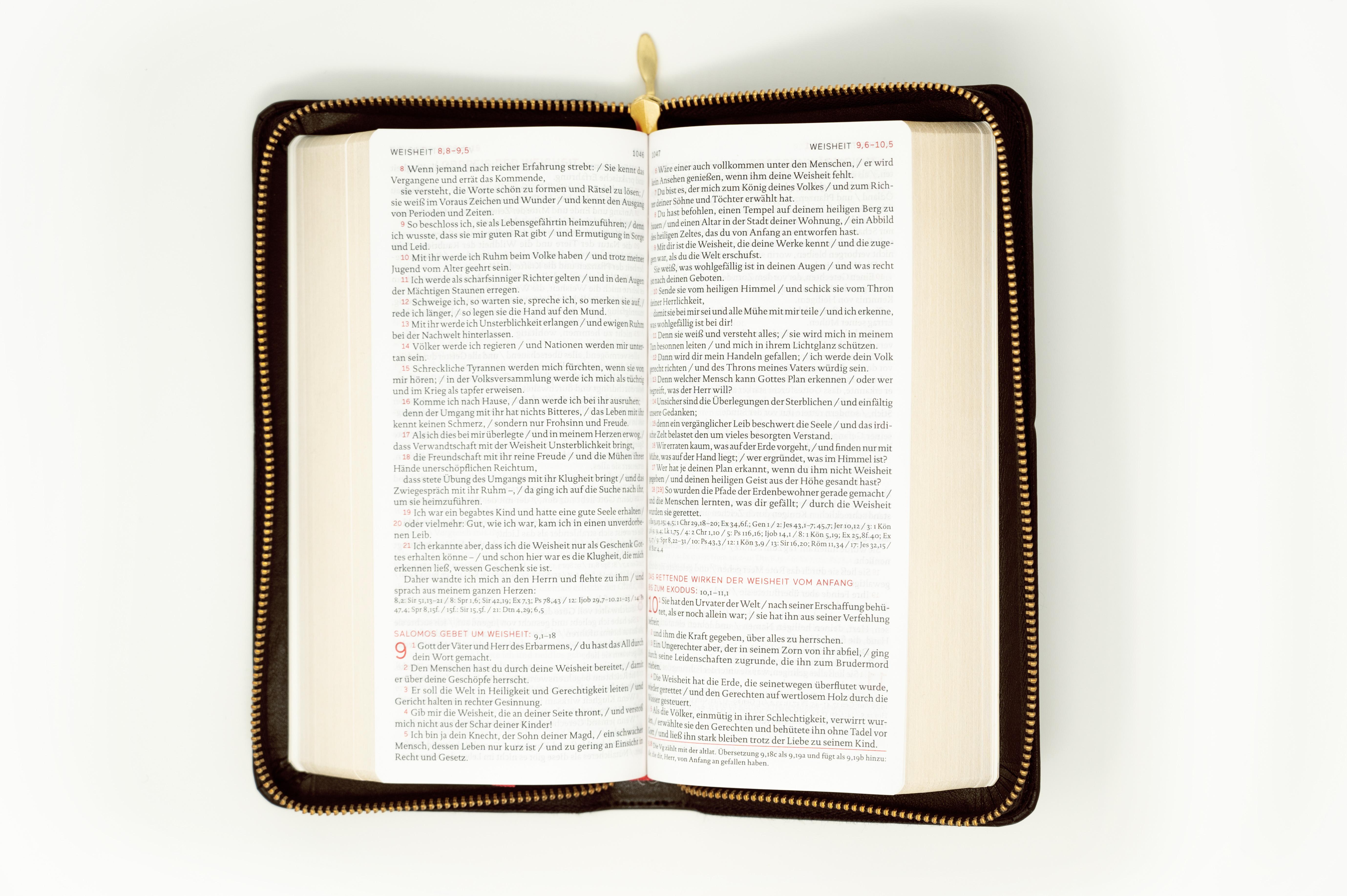 Beispielinhalt (Bild) Die Bibel