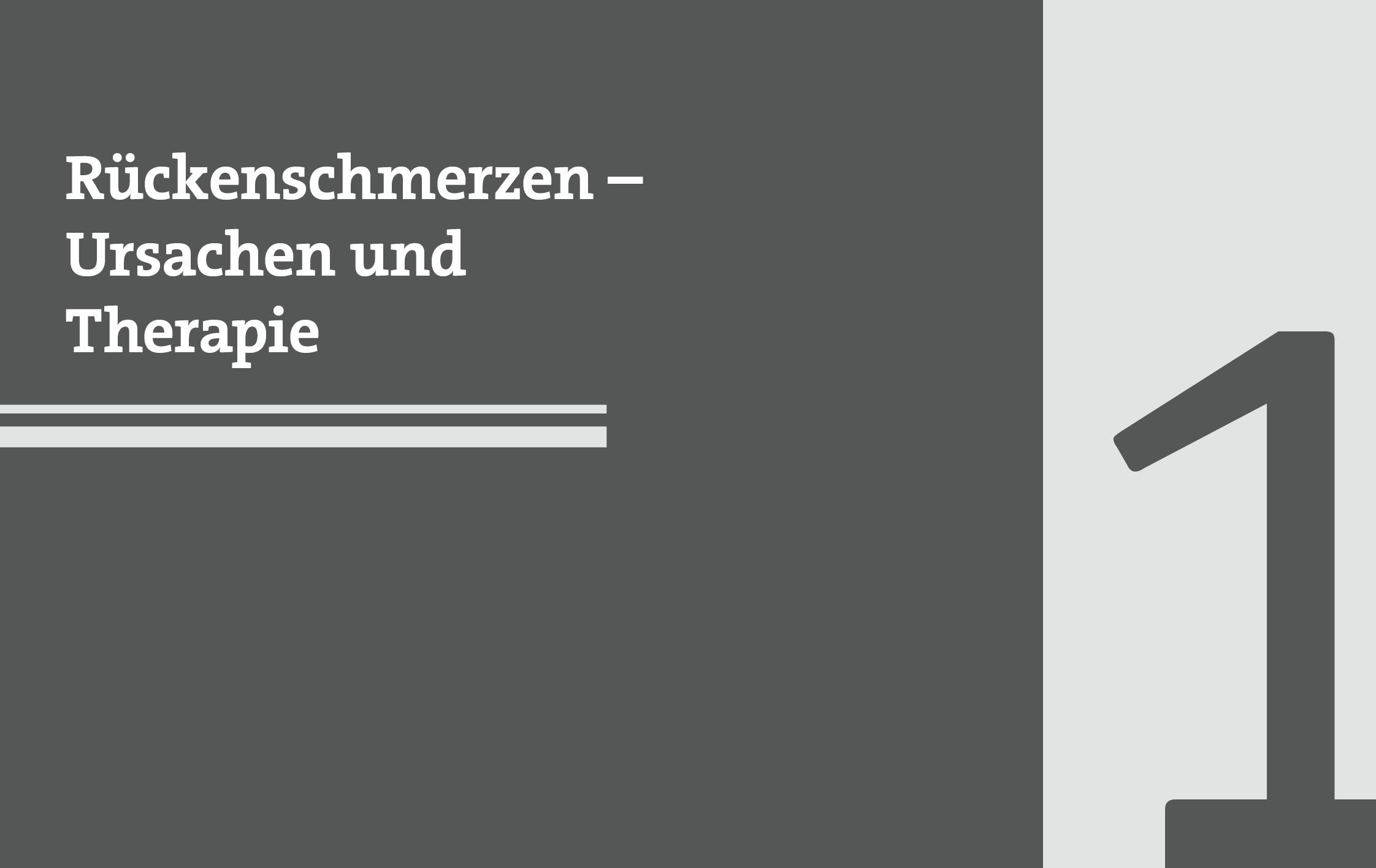 Beispielinhalt (Bild) 50 Workouts gegen Rückenschmerzen