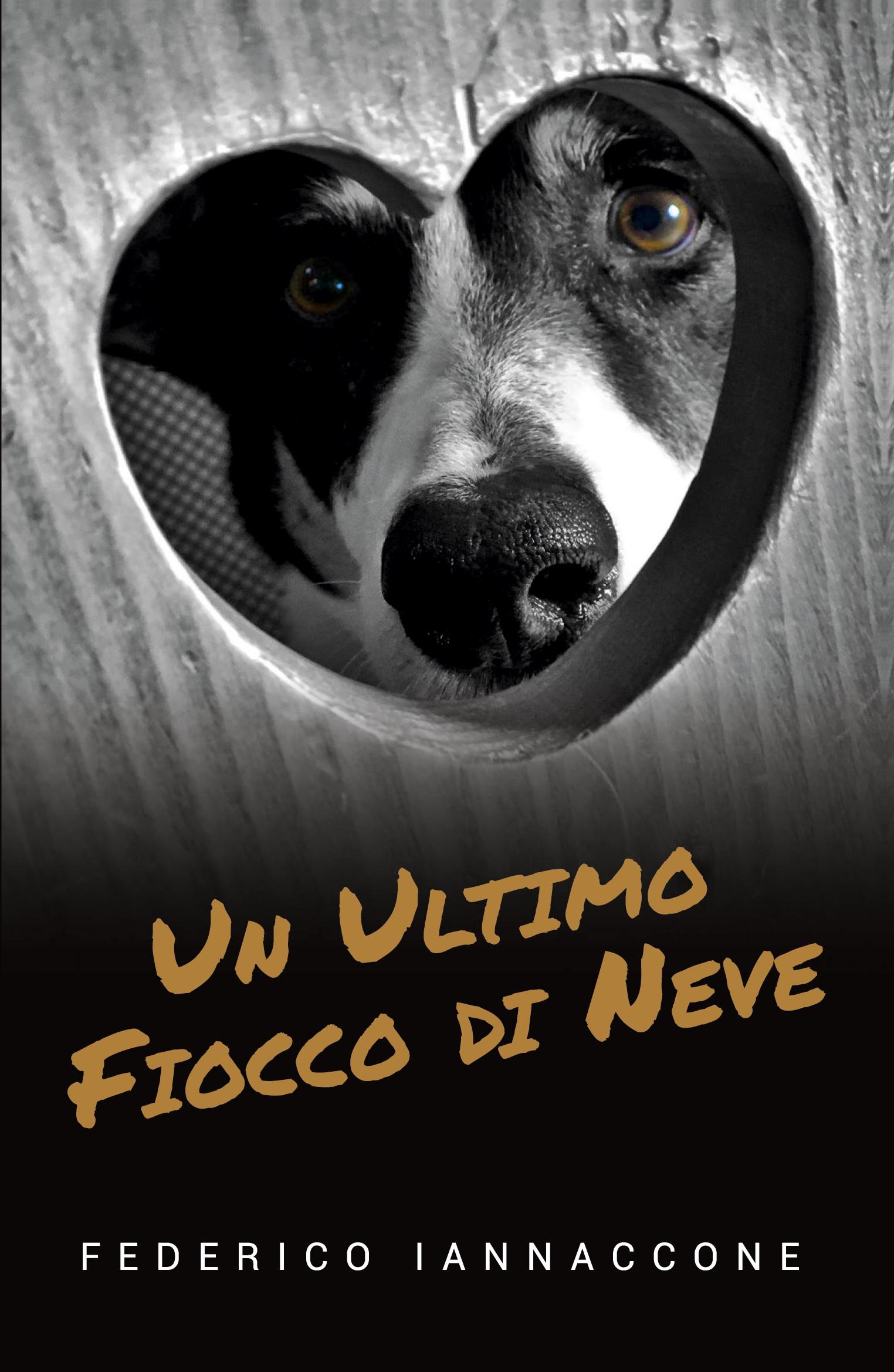 Vorderes Coverbild Un ultimo fiocco di neve