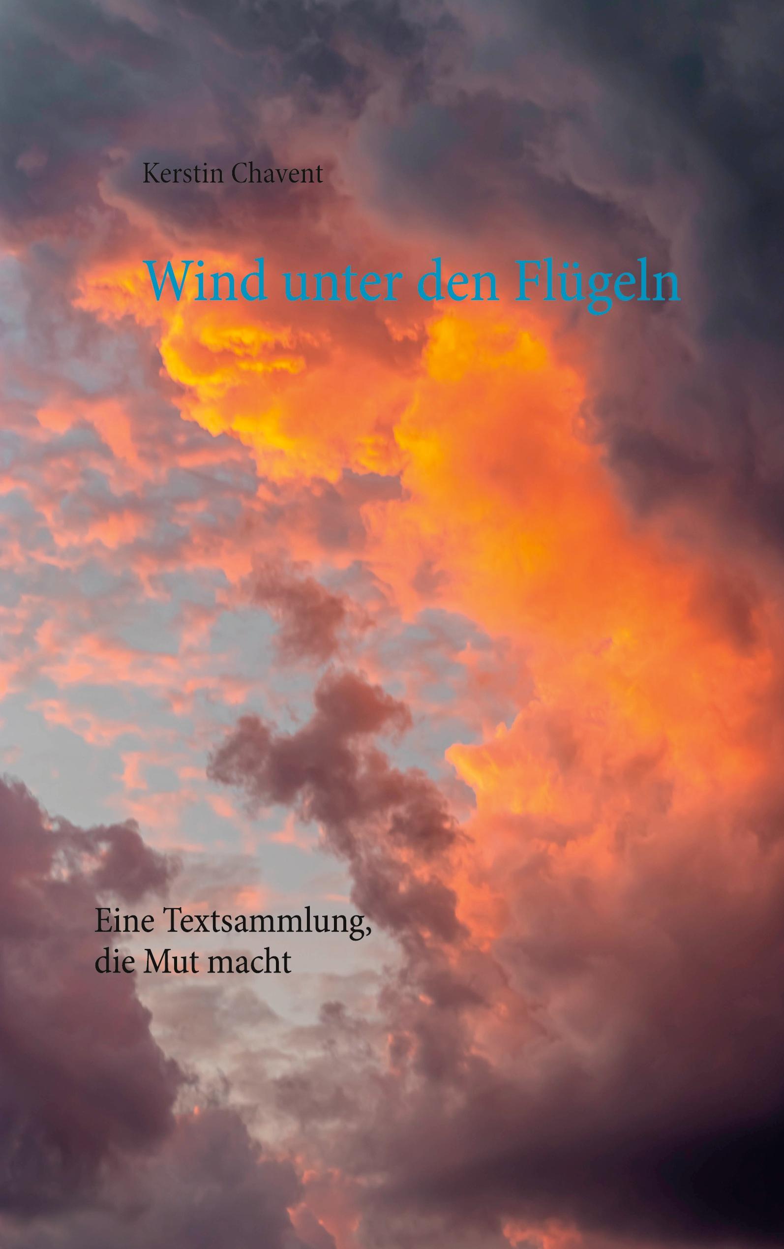 Vorderes Coverbild Wind unter den Flügeln
