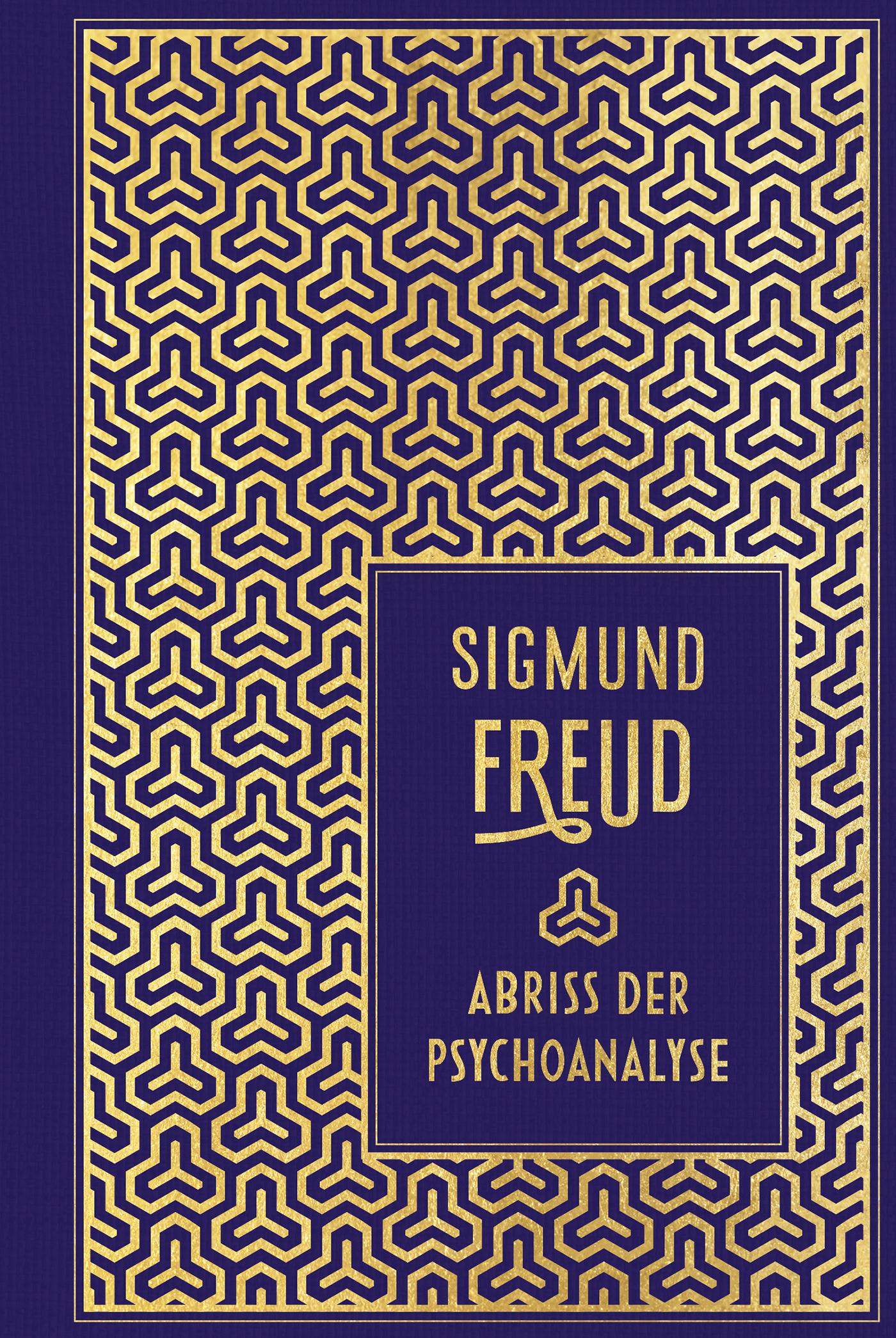 Vorderes Coverbild Abriss der Psychoanalyse