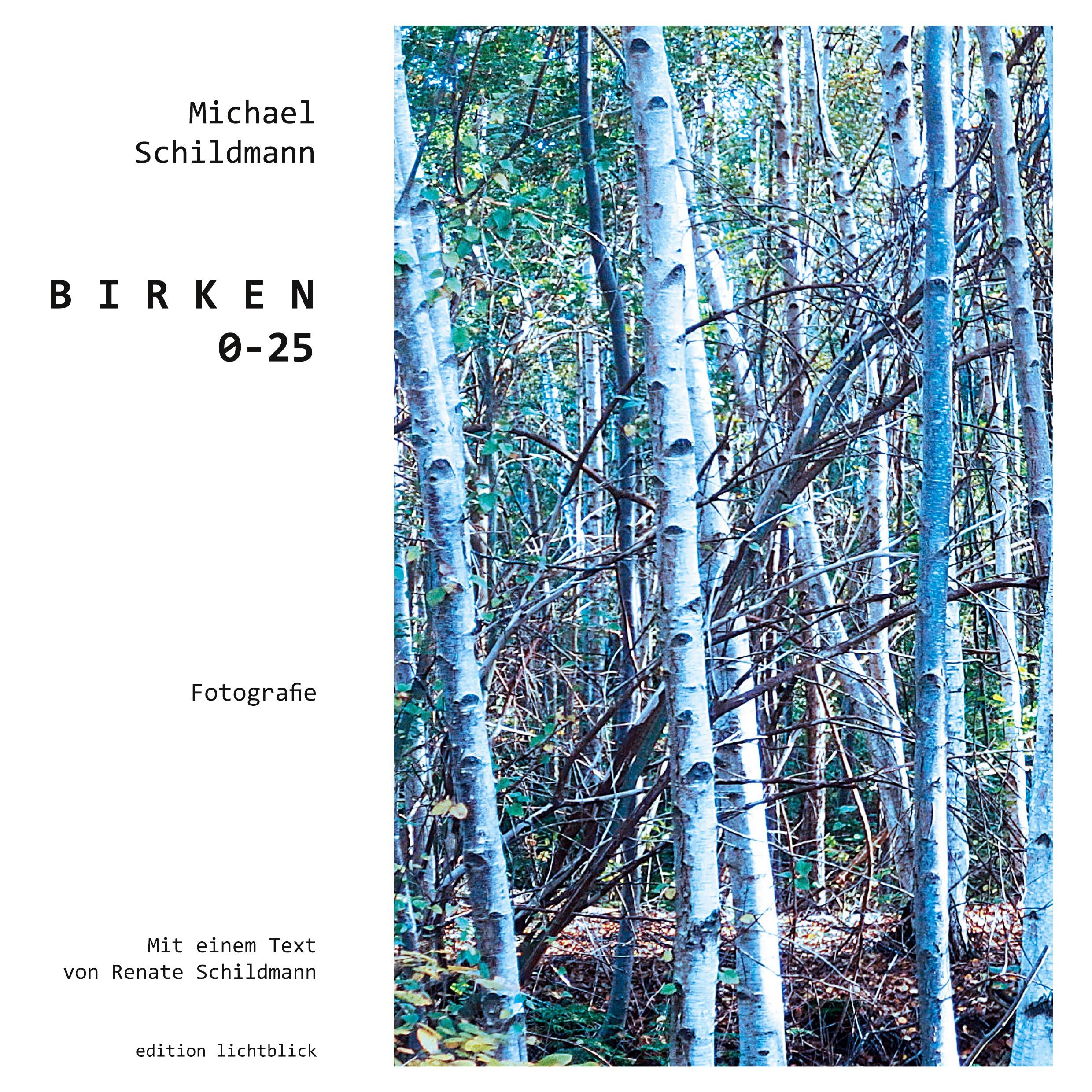 Vorderes Coverbild B I R K E N