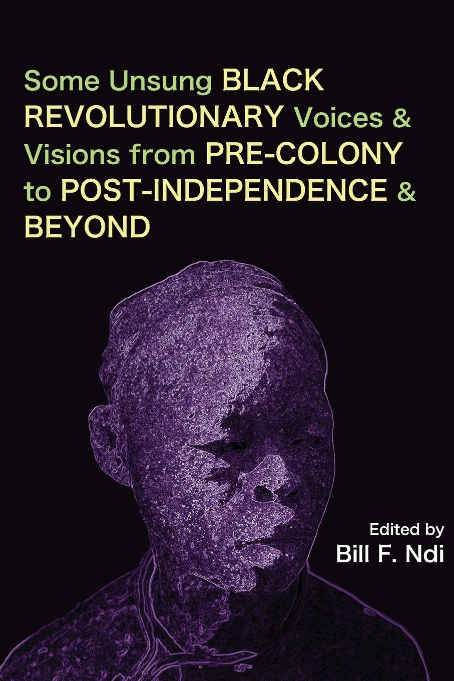 Vorderes Coverbild Some Unsung Black Revolutionary Voices and Visions from Pre-Colony to Post-Independence and Beyond