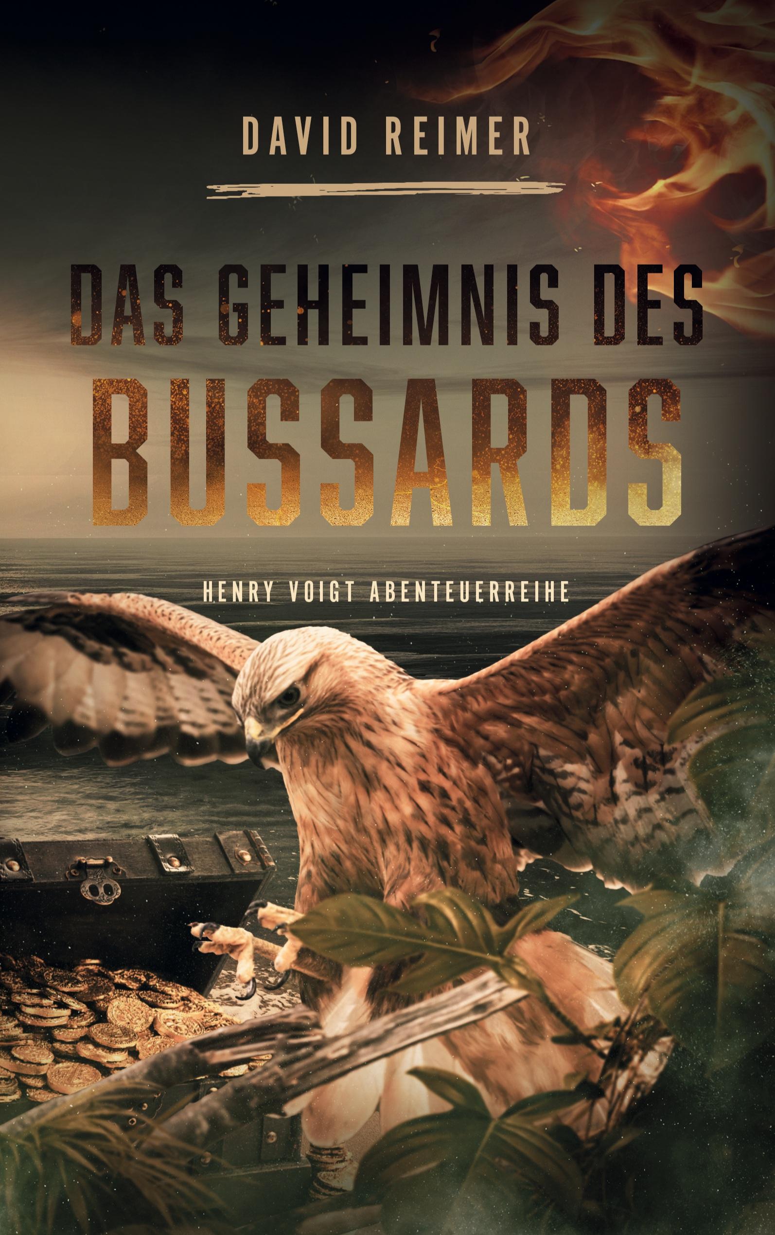 Vorderes Coverbild Das Geheimnis des Bussards