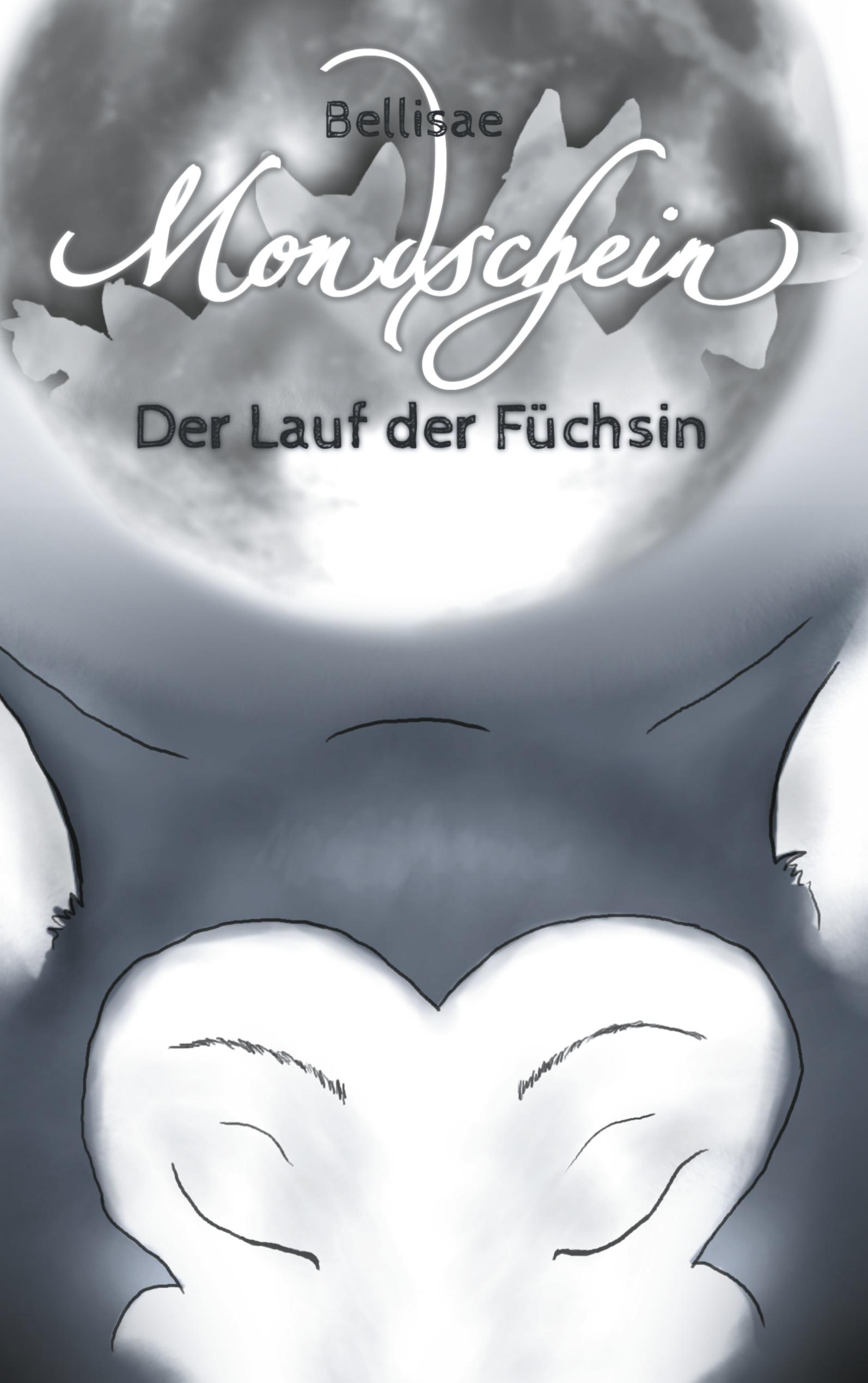 Vorderes Coverbild Mondschein