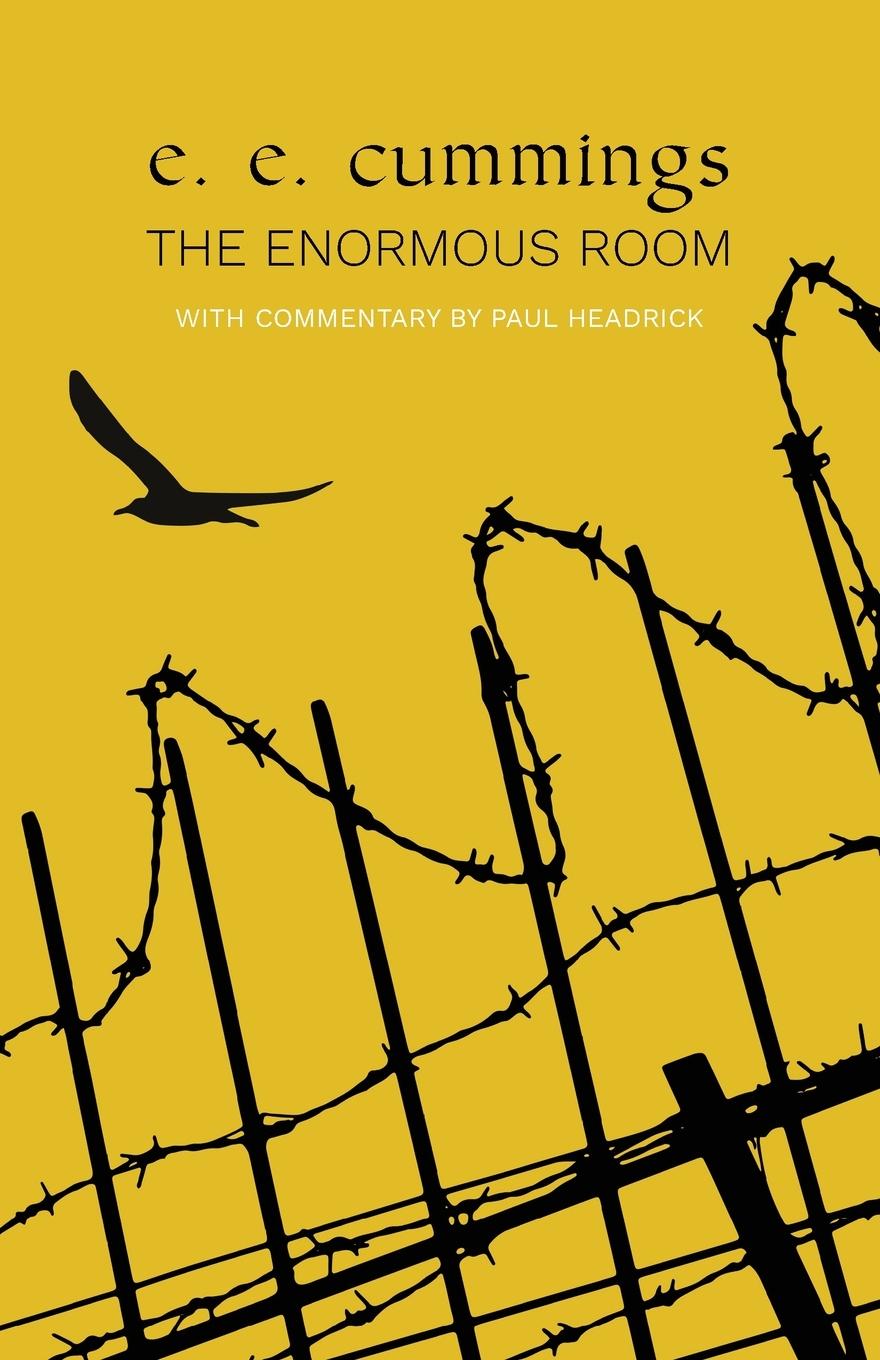Vorderes Coverbild The Enormous Room (Warbler Classics)