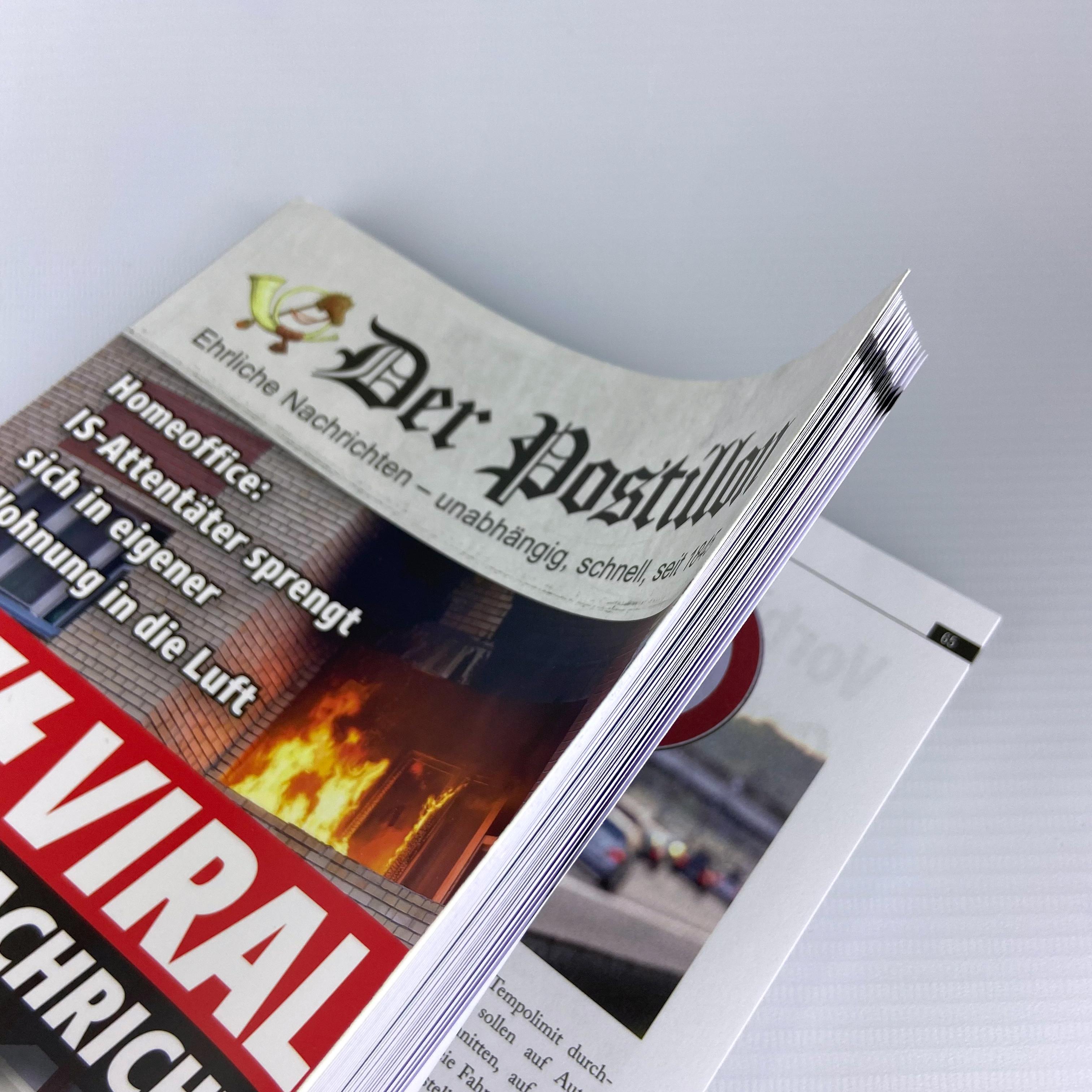 Beispielinhalt (Bild) Der Postillon