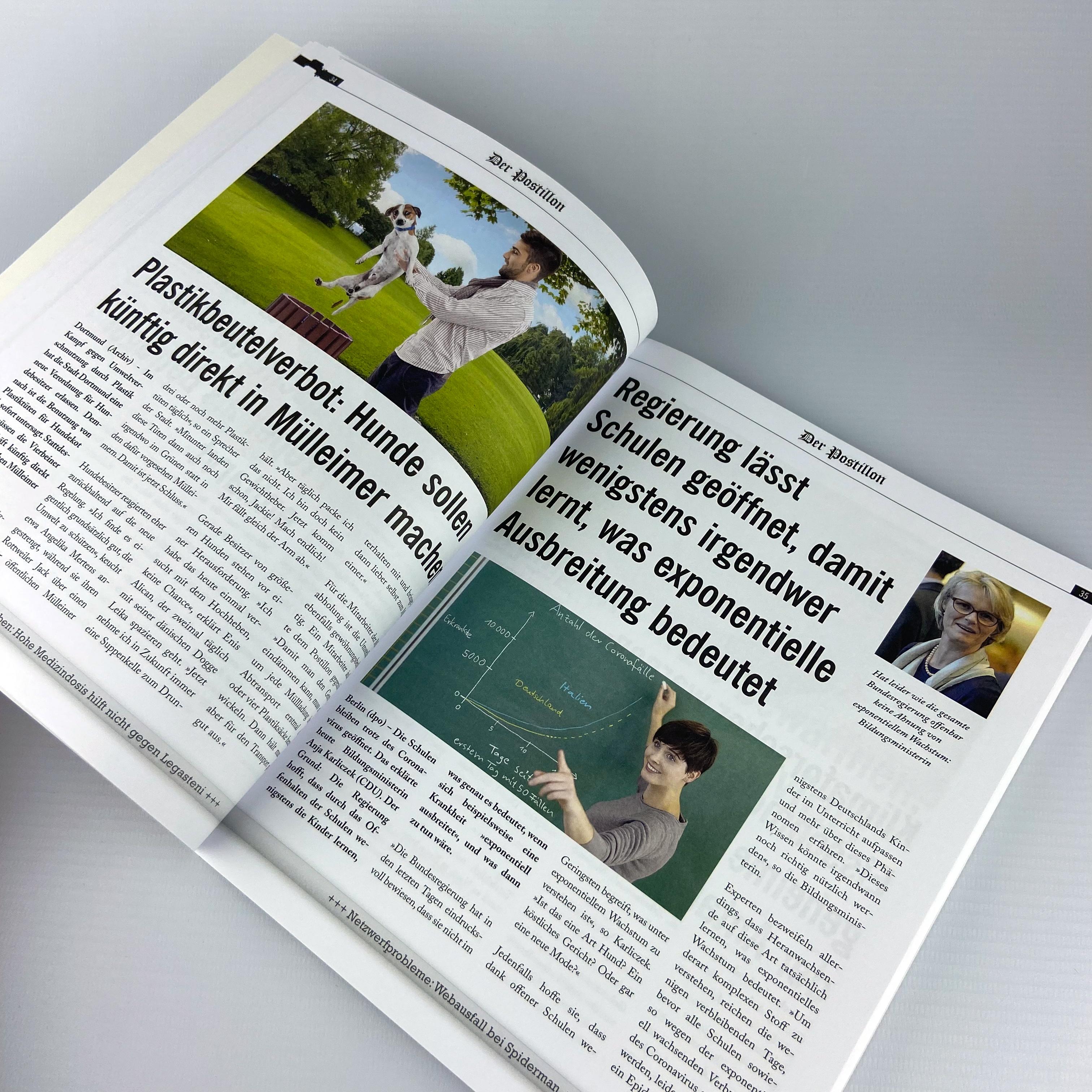 Beispielinhalt (Bild) Der Postillon