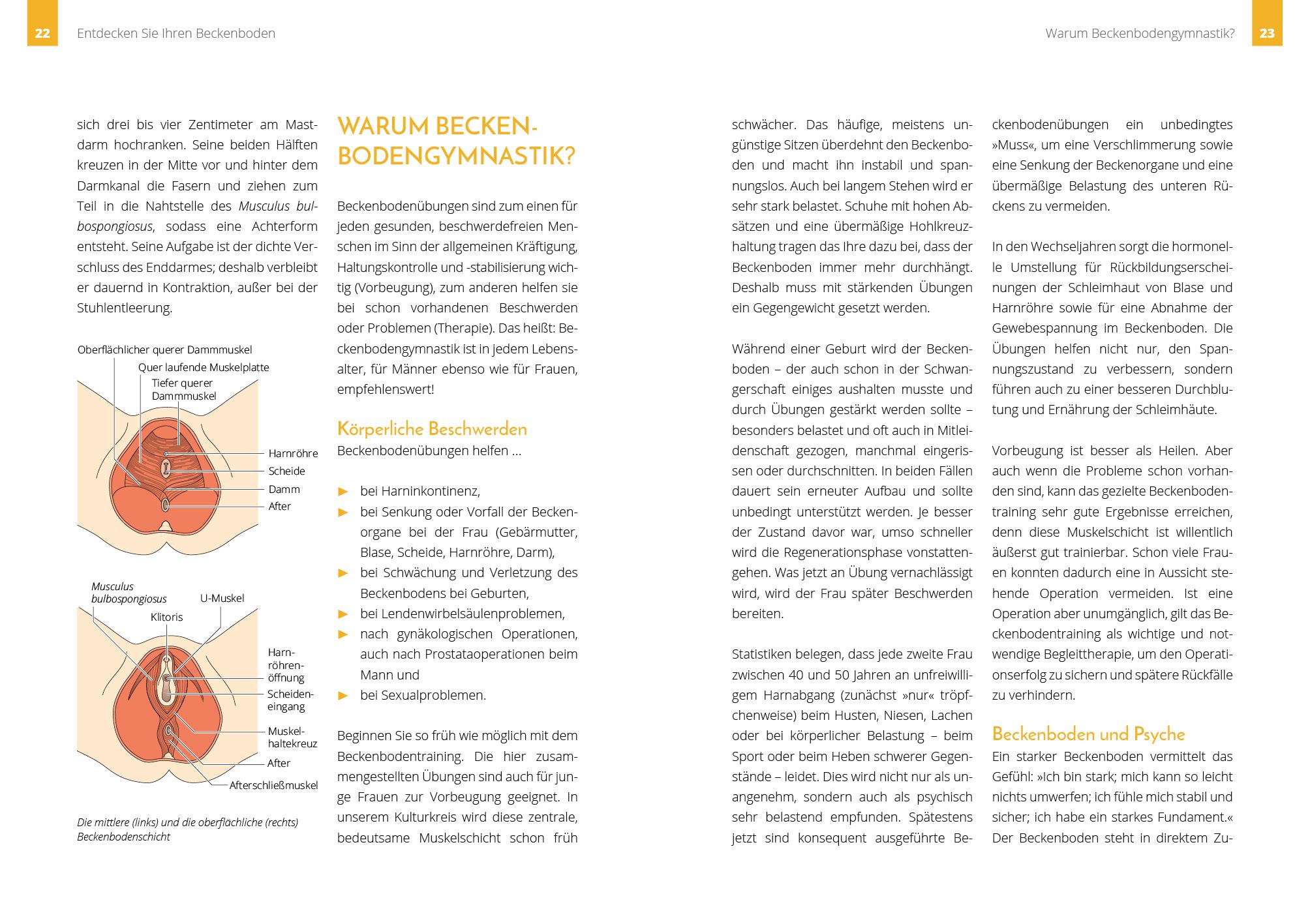 Beispielinhalt (Bild) Starker Beckenboden