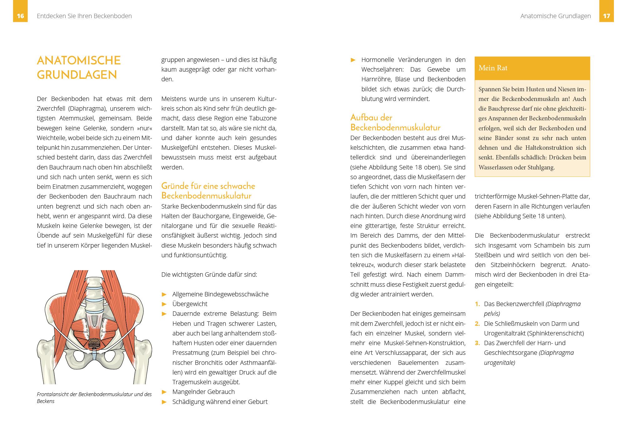 Beispielinhalt (Bild) Starker Beckenboden