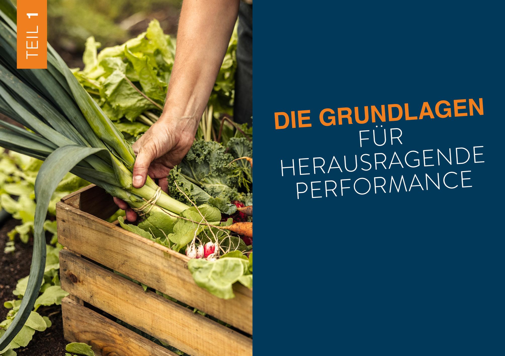 Beispielinhalt (Bild) Biohacking für Sportler