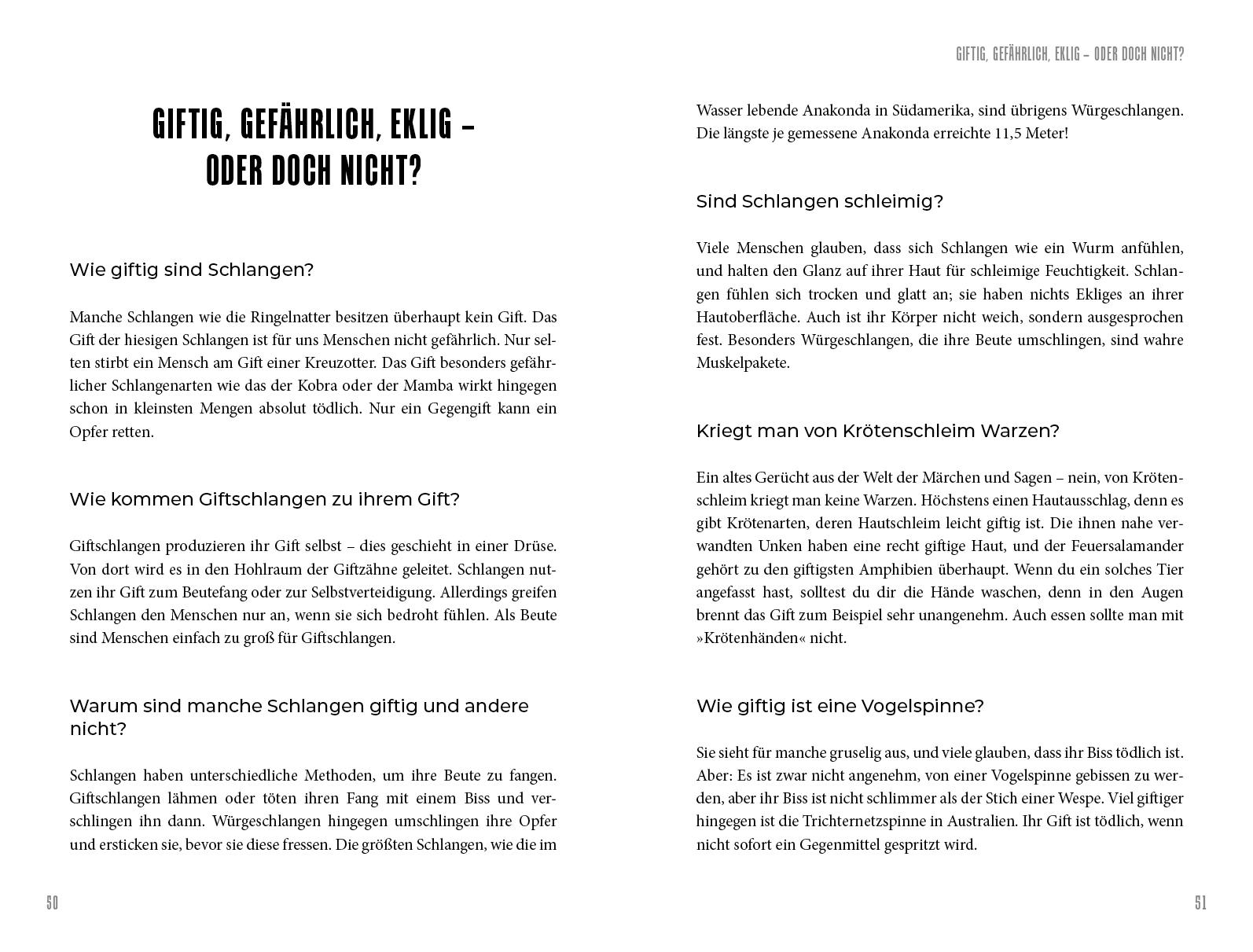 Beispielinhalt (Bild) 600 Wissenslücken endlich schließen