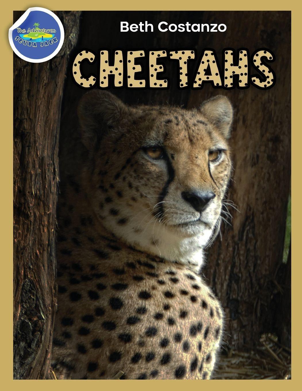 Vorderes Coverbild Cheetah Activity Workbook ages 4-8