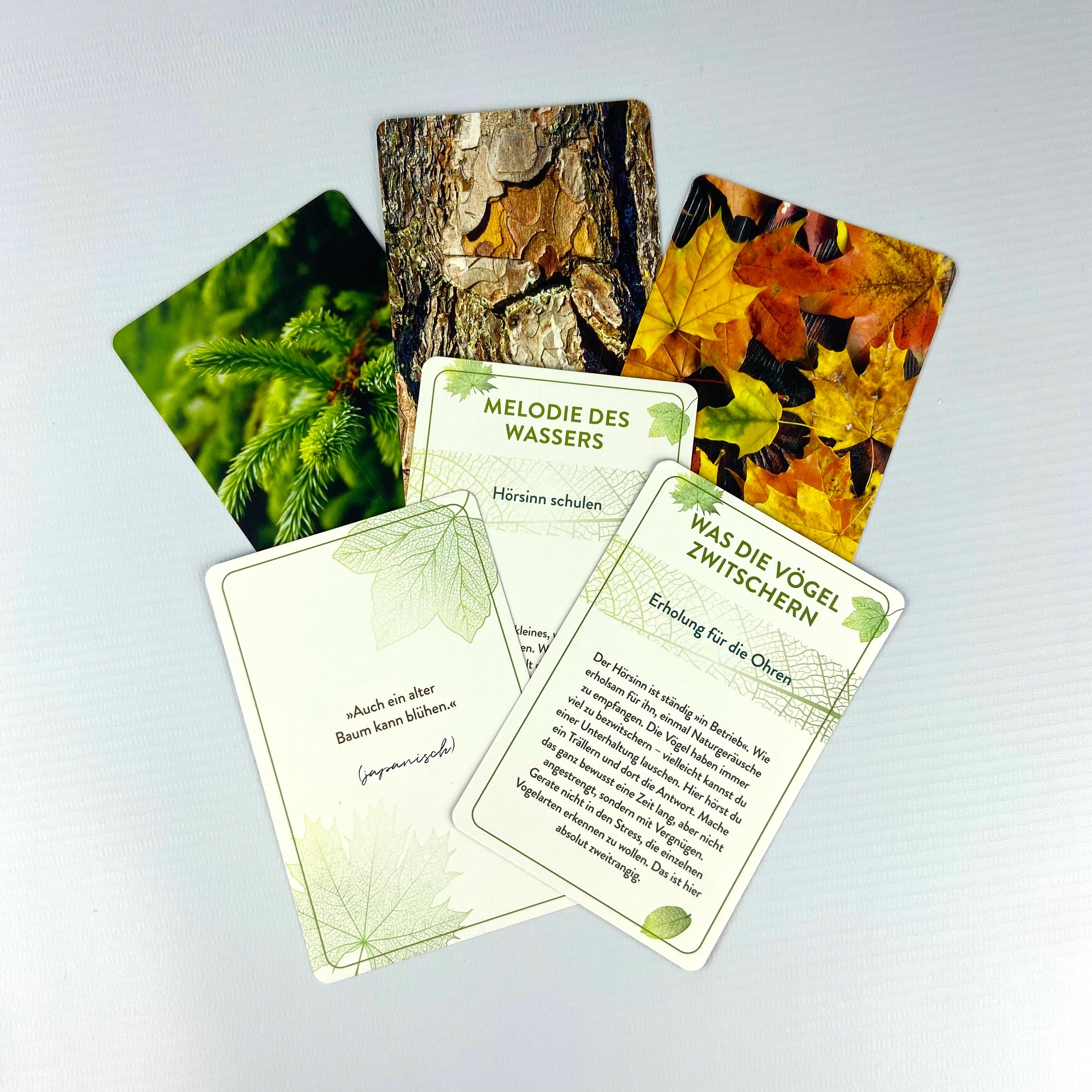 Beispielinhalt (Bild) Waldbaden to go