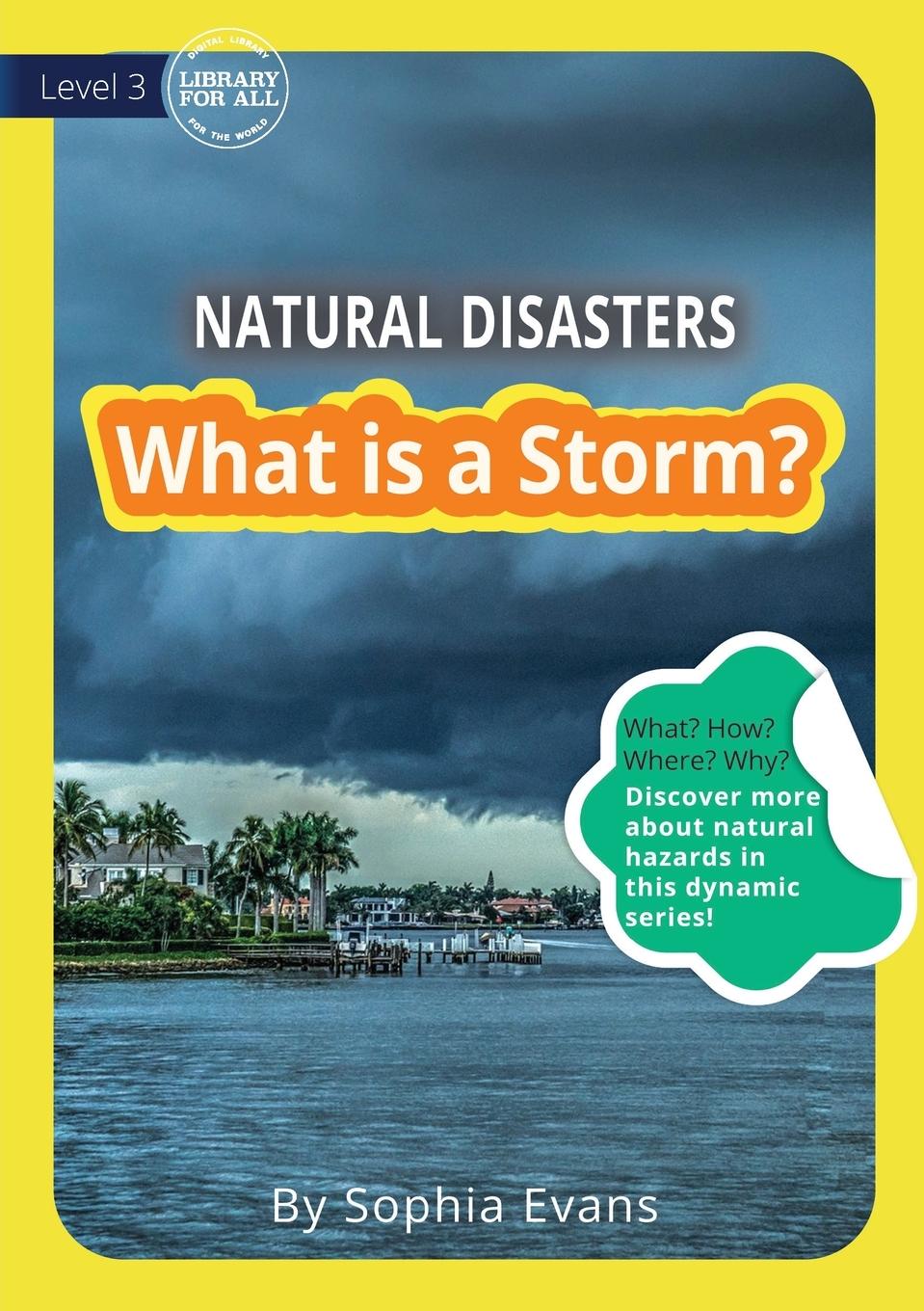 Vorderes Coverbild What Is A Storm?