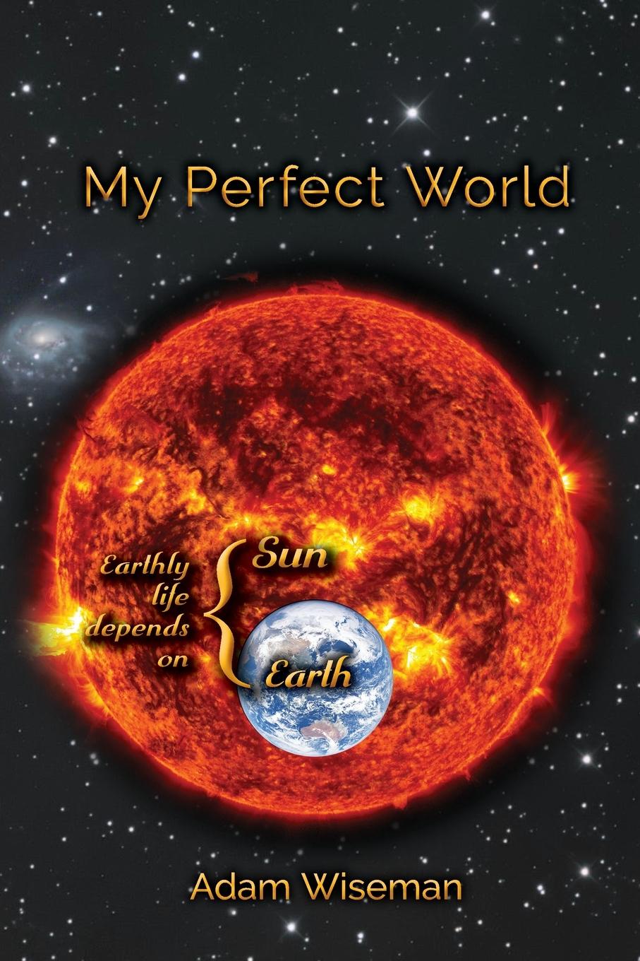 Vorderes Coverbild My Perfect World