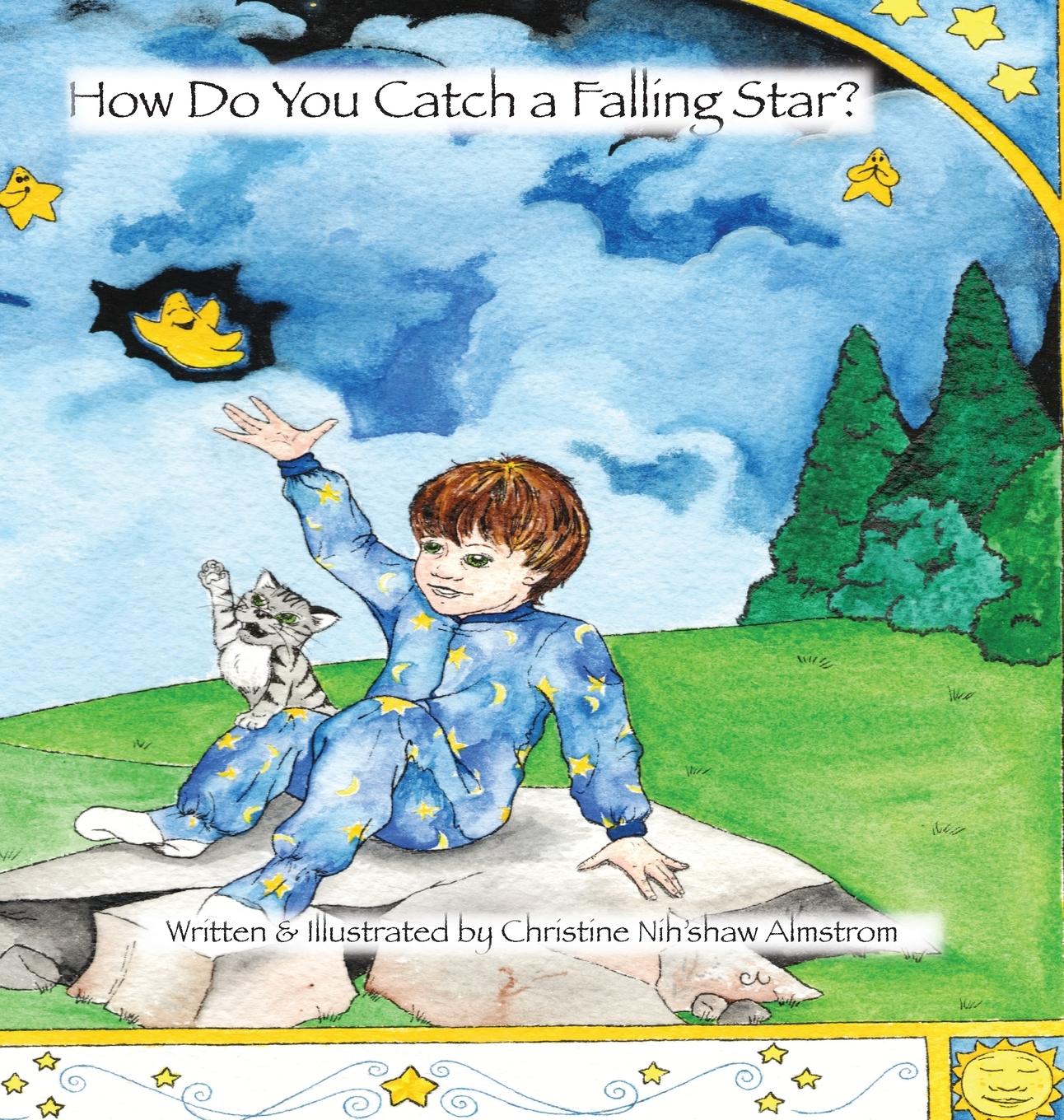 Vorderes Coverbild How Do You Catch a Falling Star?