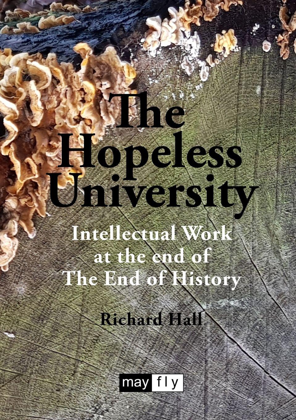 Vorderes Coverbild The Hopeless University