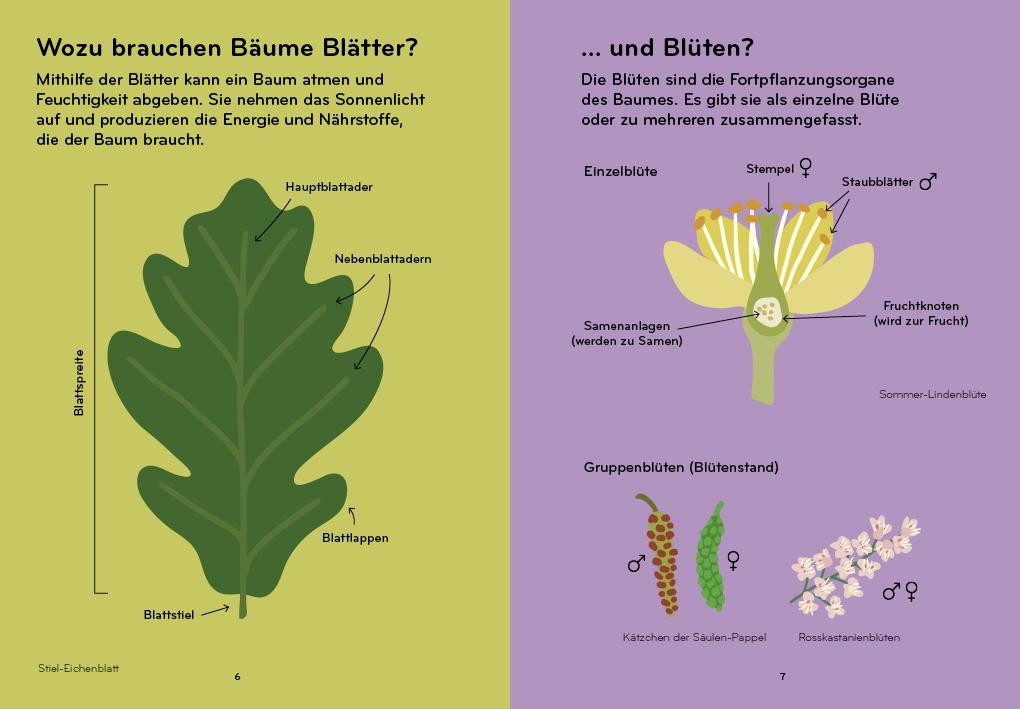 Beispielinhalt (Bild) Arborama