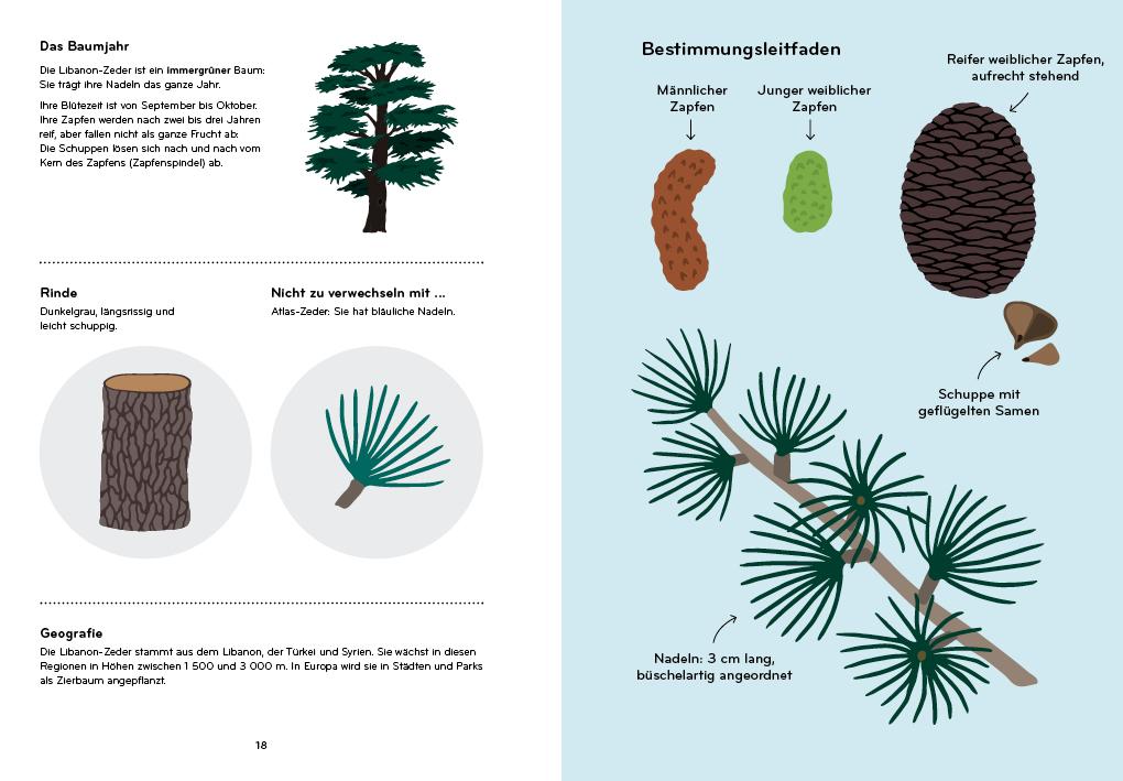 Beispielinhalt (Bild) Arborama