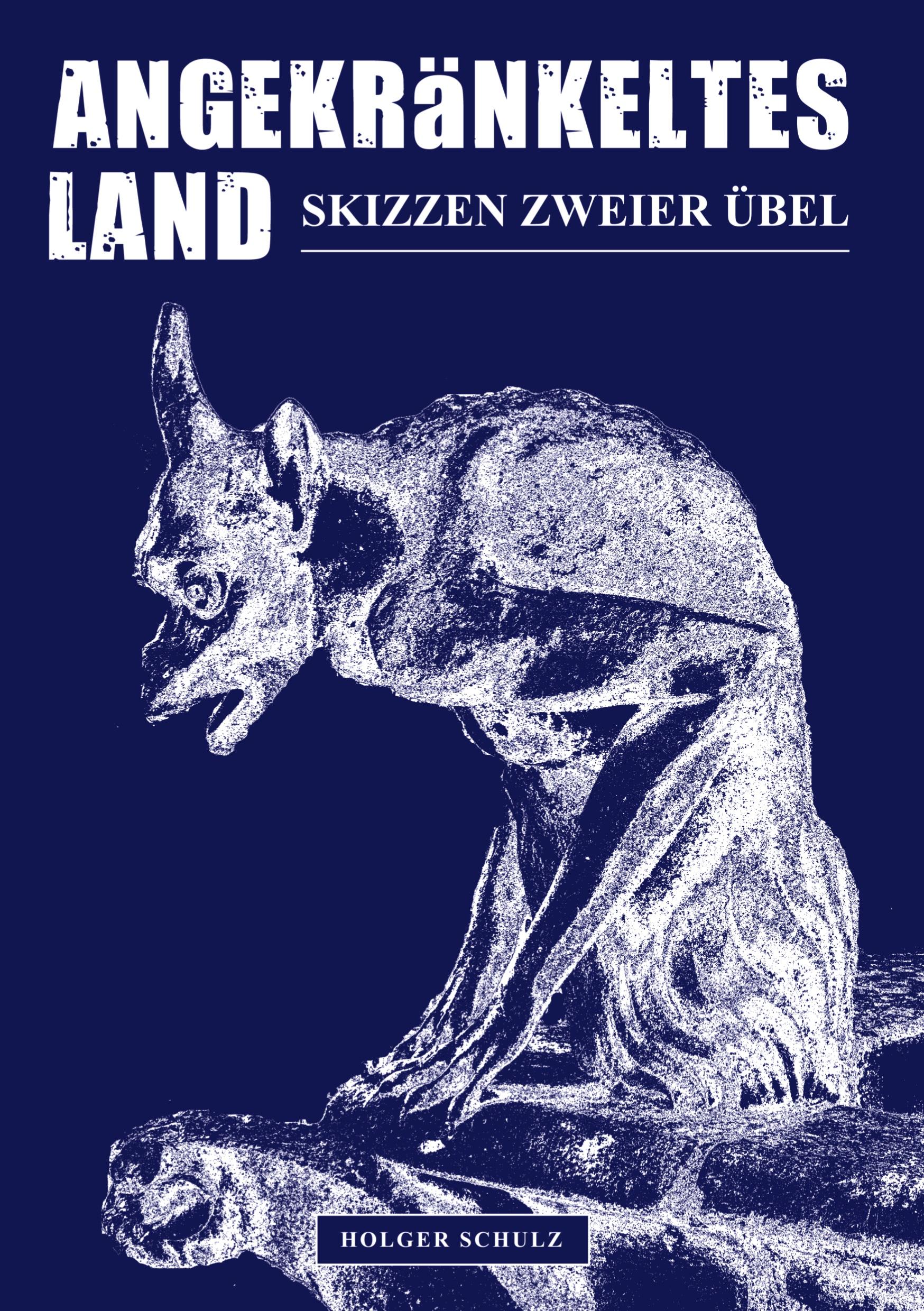 Vorderes Coverbild Angekränkeltes Land