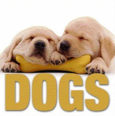 Vorderes Coverbild Dogs