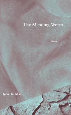 Vorderes Coverbild The Mending Worm