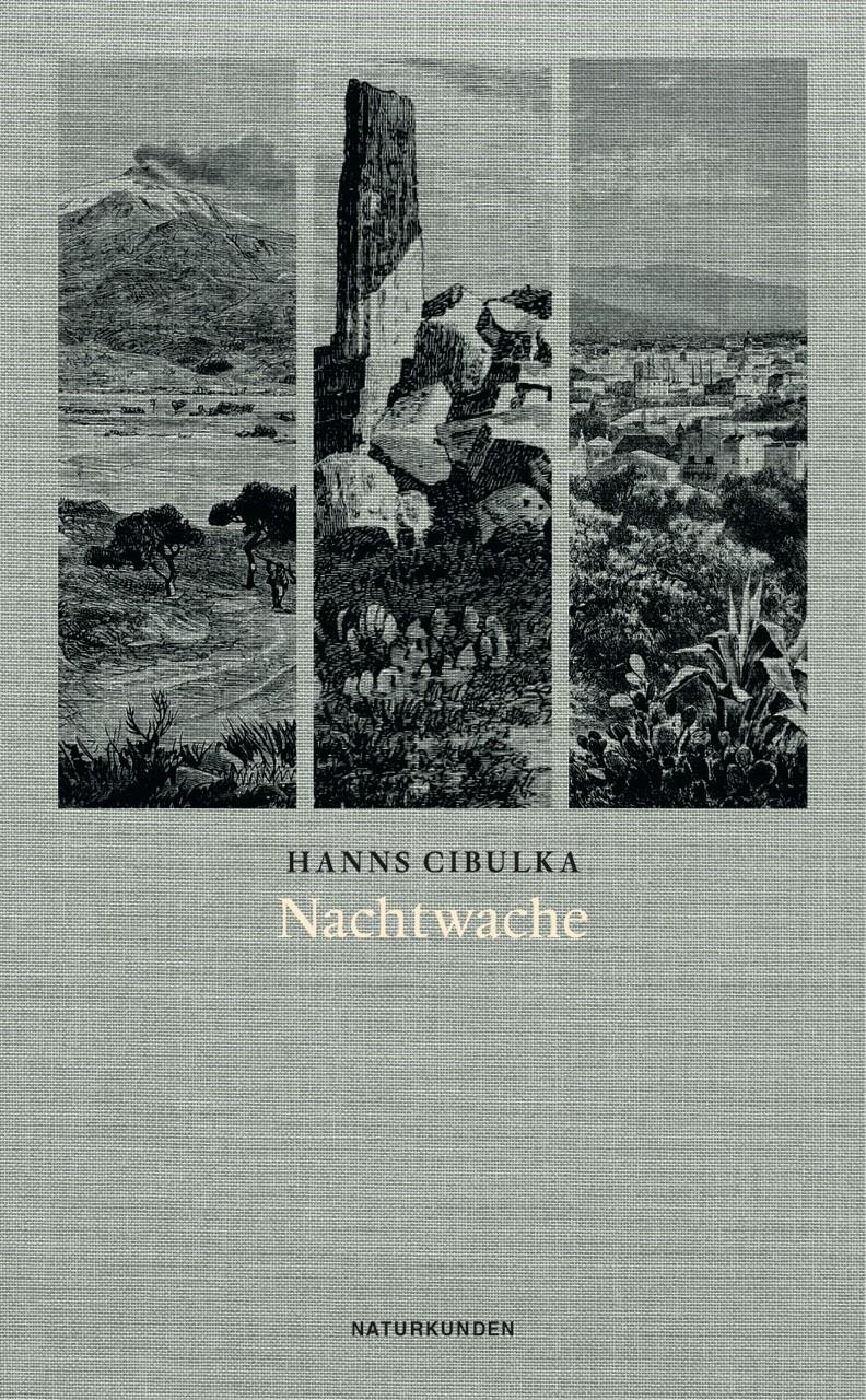 Vorderes Coverbild Nachtwache