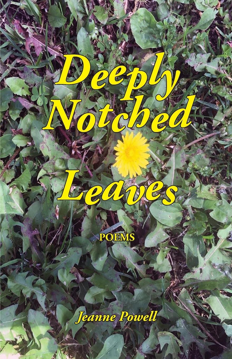 Vorderes Coverbild Deeply Notched Leaves