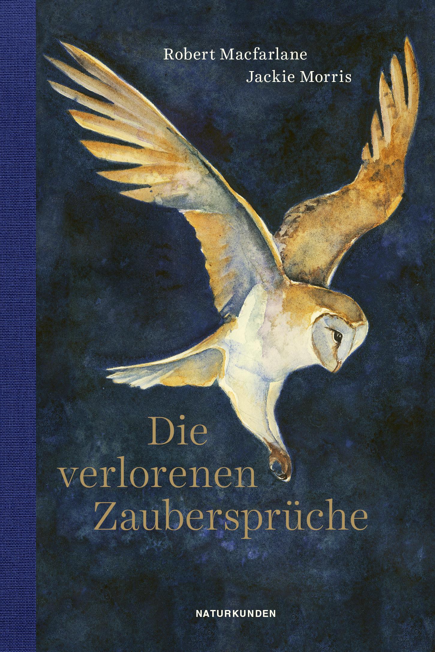 Vorderes Coverbild Die verlorenen Zaubersprüche