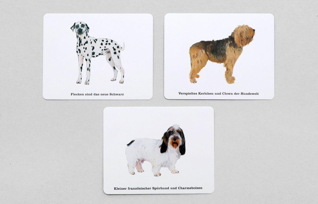 Beispielinhalt (Bild) Wer kennt alle Hunde?