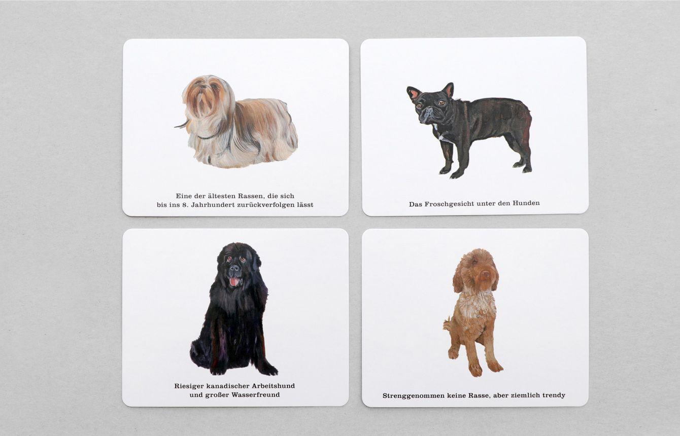 Beispielinhalt (Bild) Wer kennt alle Hunde?