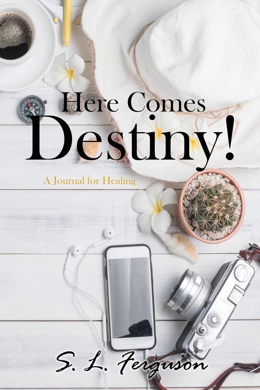 Vorderes Coverbild Here Comes Destiny!