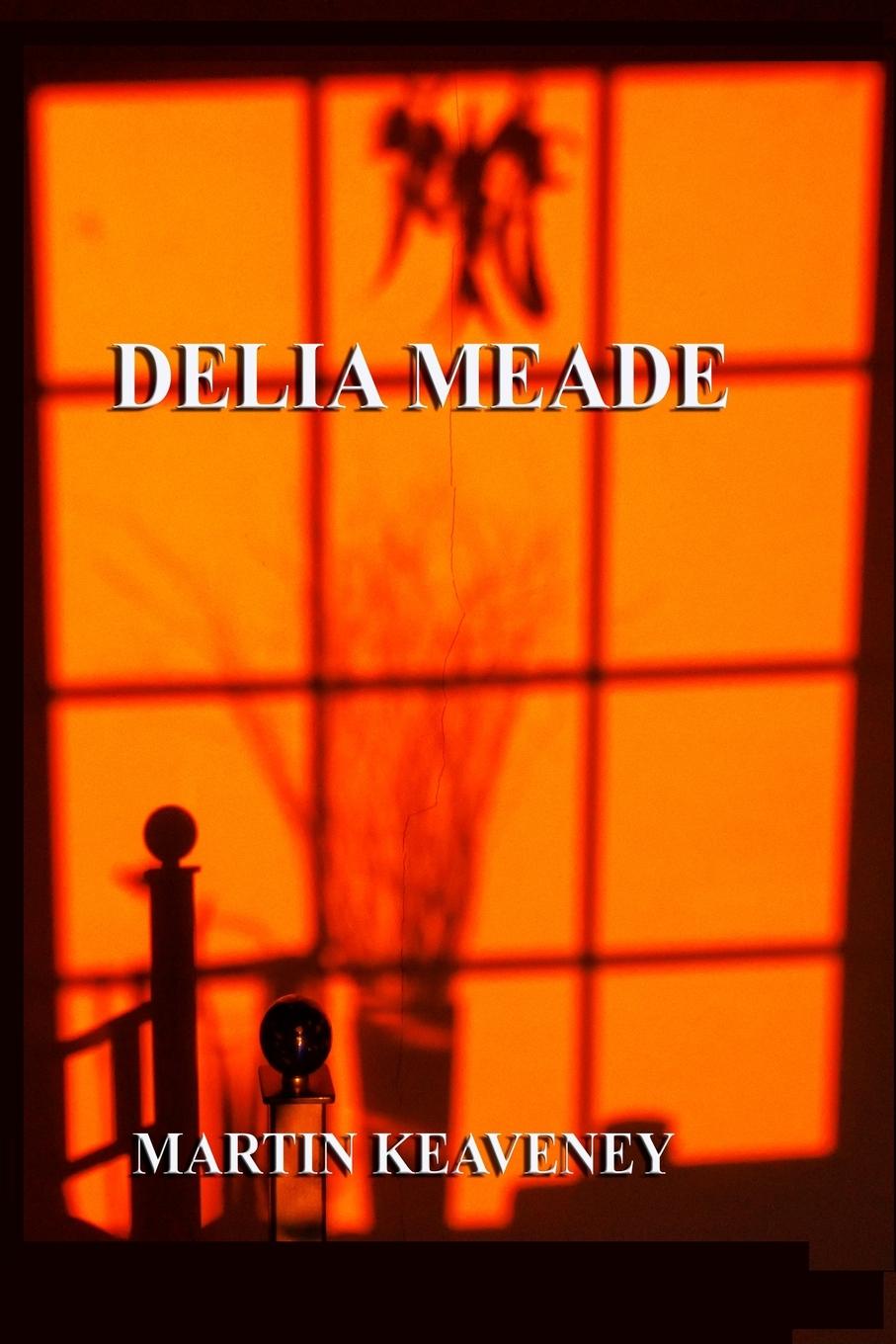 Vorderes Coverbild Delia Meade